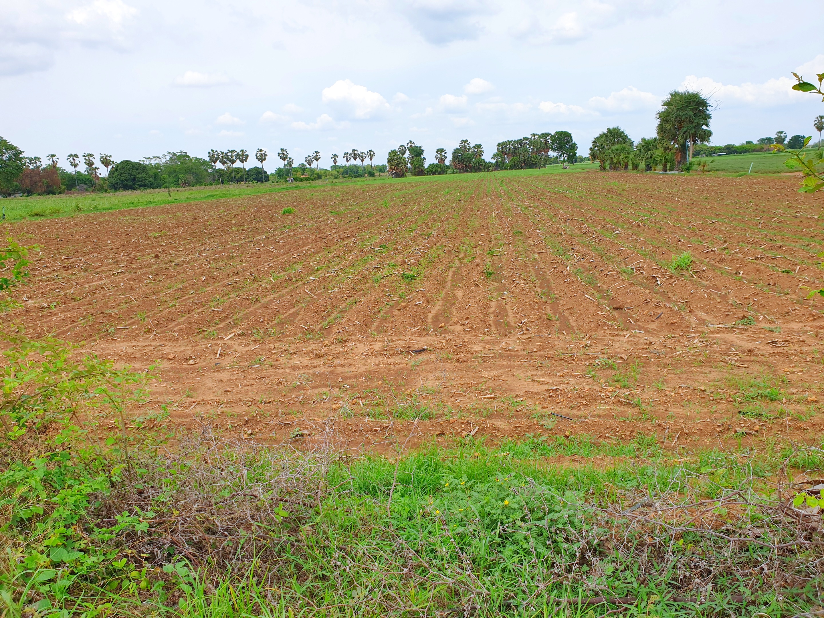 💰ขายแล้ว💰ขายที่ดินติดถนนลาดยาง วิวภูเขา อ.อู่ทอง จ. สุพรรณบุรี เนื้อที่ 9-3-18 ไร่ ขายไร่ละ 2.5 แสน ที่สวยบรรยากาศดี วิวทิวทัศน์สวยงาม ใกล้แหล่งชุมชน น้ำไฟเข้าถึง