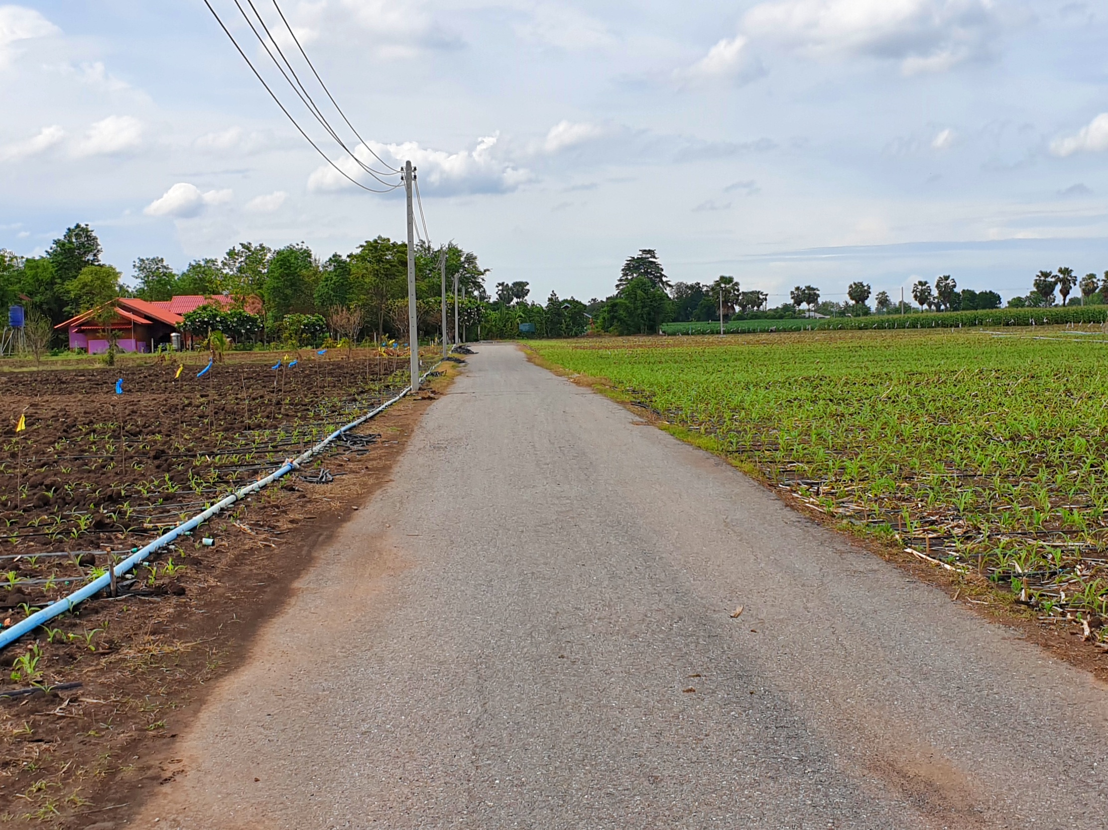 💰ขายแล้ว💰ขายที่ดินสวย ทำเลดี 3 ไร่ 2 งาน อ.อู่ทอง จ.สุพรรณบุรี ติดถนนลาดยาง ท่ามกลางธรรมชาติ วิวภูเขา