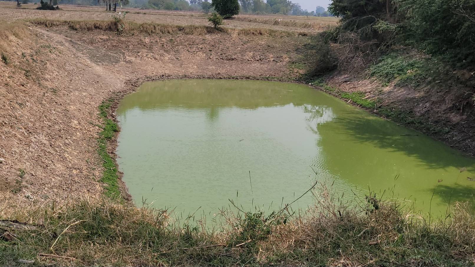 ที่ดินติดถนนใหญ่ 333ราคาเบา วิวสวย ทำเลท่องเที่ยวครบ จองด่วน! อ.อู่ทอง จ.สุพรรณบุรี ถูกกว่าตลาดเท่าตัว! 17ไร่ เหมาะรีสอร์ท/คาเฟ่/โกดัง ที่ดินศักยภาพสูง เหมาะกับการลงทุนเป็นอย่างยิ่ง