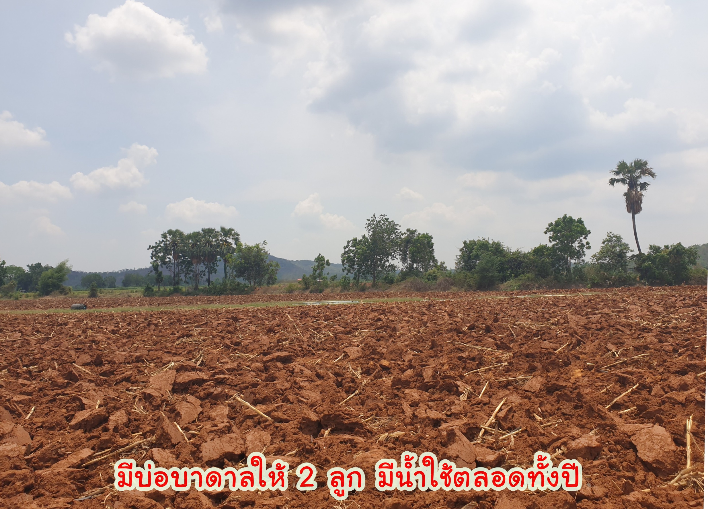 💰ขายแล้ว💰 ขายที่ดินวิวภูเขา เนื้อที่ 9 ไร่ 2 งาน ภูเขาล้อมรอบ บรรยากาศดี วิวทิวทัศน์สวยงาม ขายถูก ราคาหลักแสน วิวหลักล้าน มีบ่อบาดาลให้ 2 ลูก มีน้ำใช้ตลอดทั้งปี