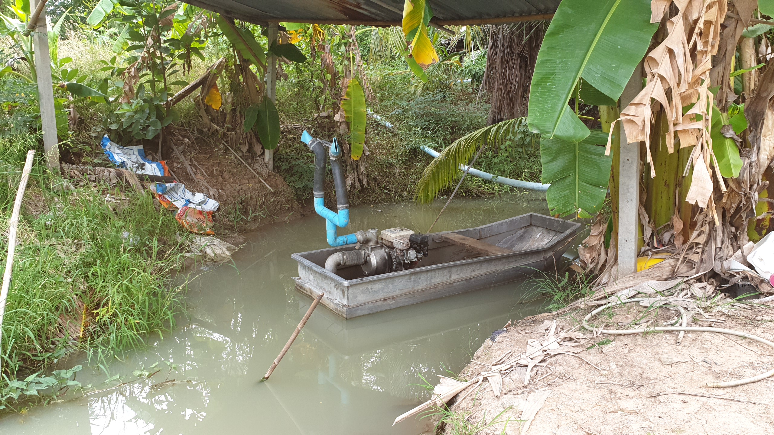 💰ขายแล้ว💰ขายที่ดินสวนมะพร้าวน้ำหอม อ.อู่ทอง จ.สุพรรณบุรี เนื้อที่ 20 ไร่ พร้อมบ้านสวยพร้อมอยู่ ขายยกแปลง 12 ล้าน บรรยากาศดี สงบ ร่มรื่น น้ำท่า อุดมสมบูรณ์