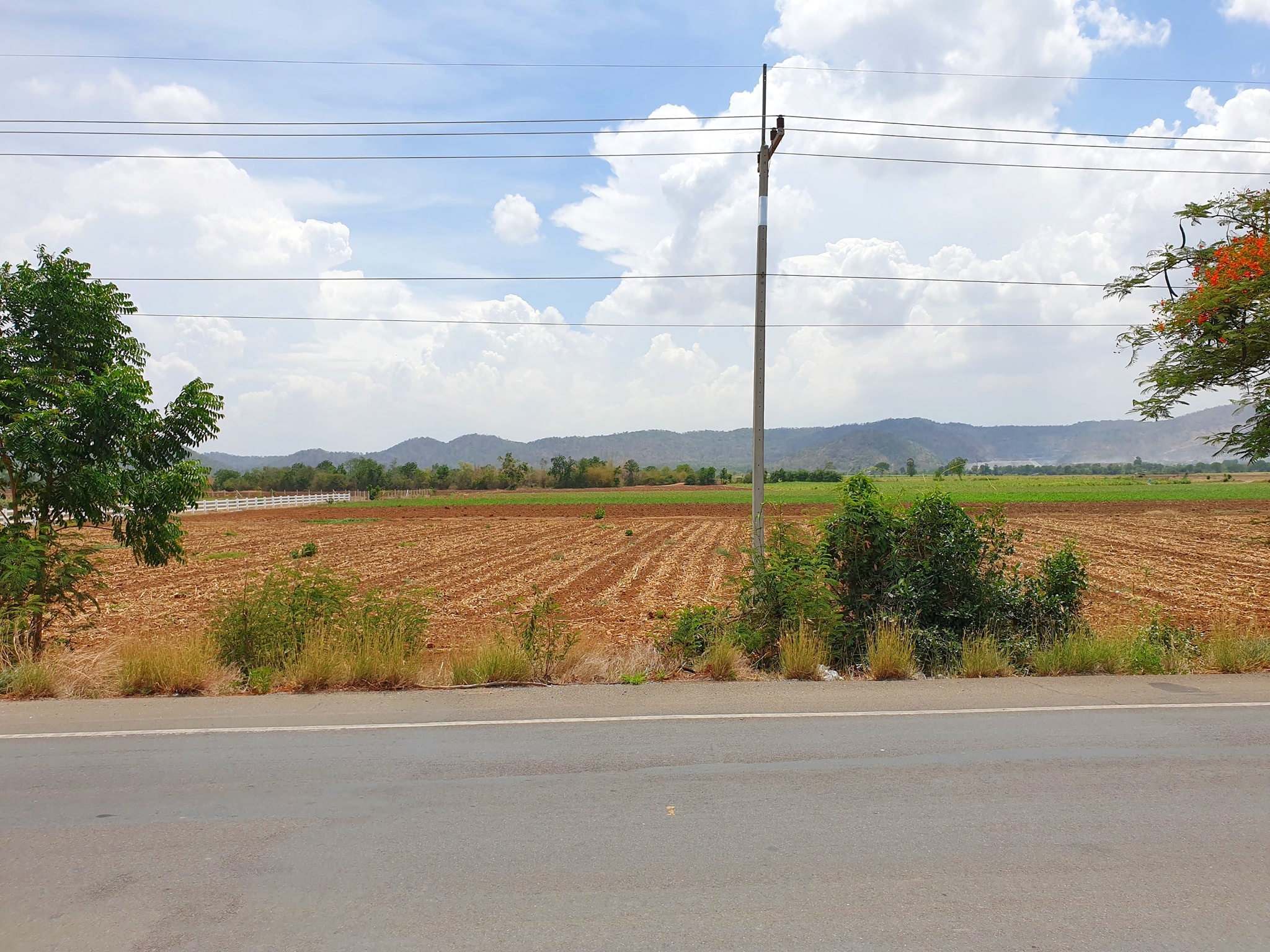 💰ขายแล้ว💰ขายที่ดินราคาถูก สุพรรณบุรี อ.อู่ทอง ดินดี ที่สวย เนื้อที่ 13 ไร่ ไร่ละ 290,000 บาท แบ่งขาย 6 ไร่ ที่ดินติดถนนทางหลวงชนบท 3019 บรรยากาศดี วิวสวย วิวภูเขา