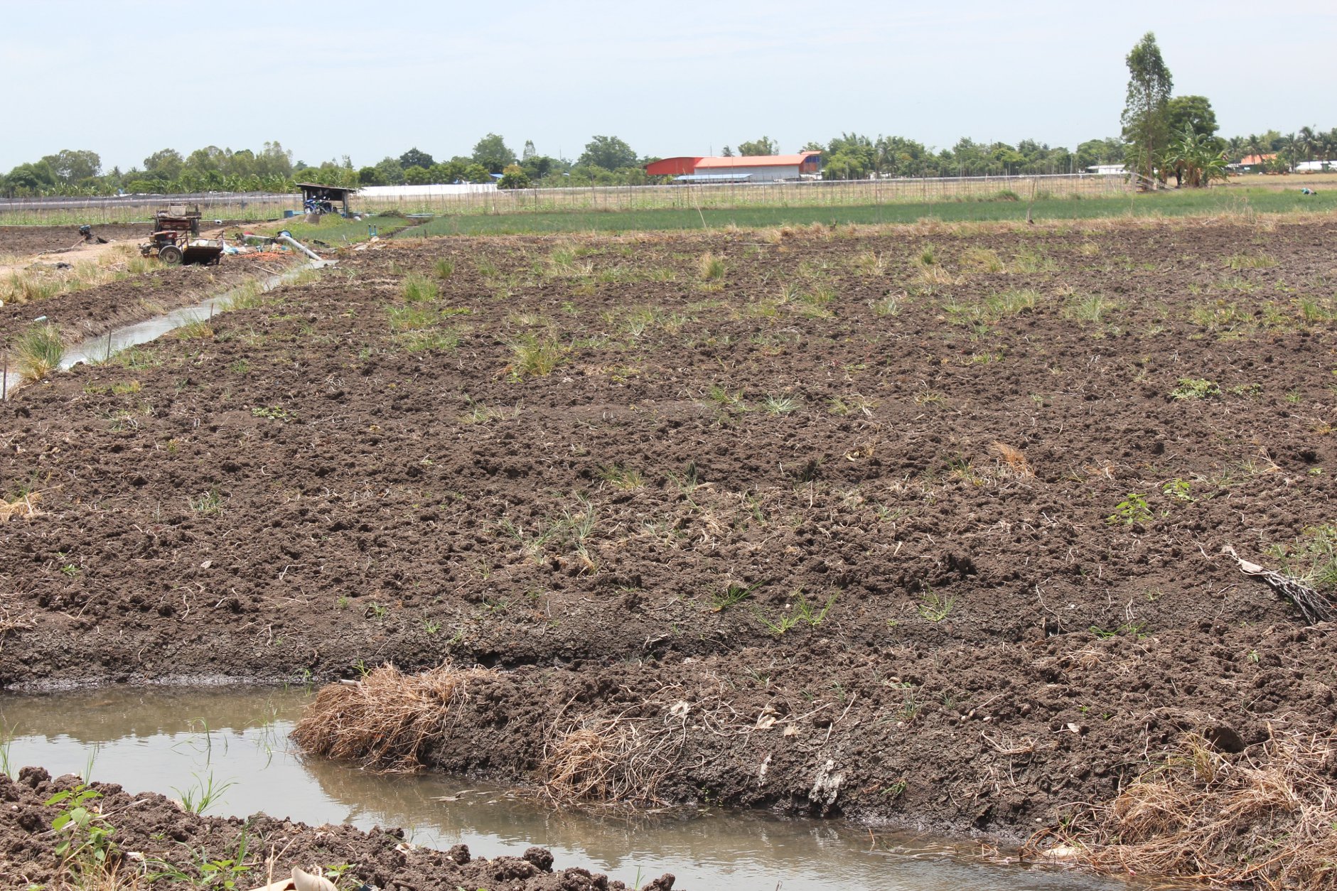 🍄ติดทรัพย์🍄ขายที่ดิน อ.อู่ทอง สุพรรณบุรี ใกล้สวนสวรรค์ ตลาดสีเขียวสุพรรณบุรี 37 ไร่ 1 งาน 93 ตรว ขายยกแปลง 9 ล้าน สถานที่ท่องเที่ยวชมพืชพันธุ์ดอกไม้ ทุ่งทานตะวัน มีถนนตัดผ่านรอบพื้นที่ ทำทางถนนรอบที่ ให้เรียบร้อย มีบ่อบาดาลในที่ 2 บ่อ มีคล