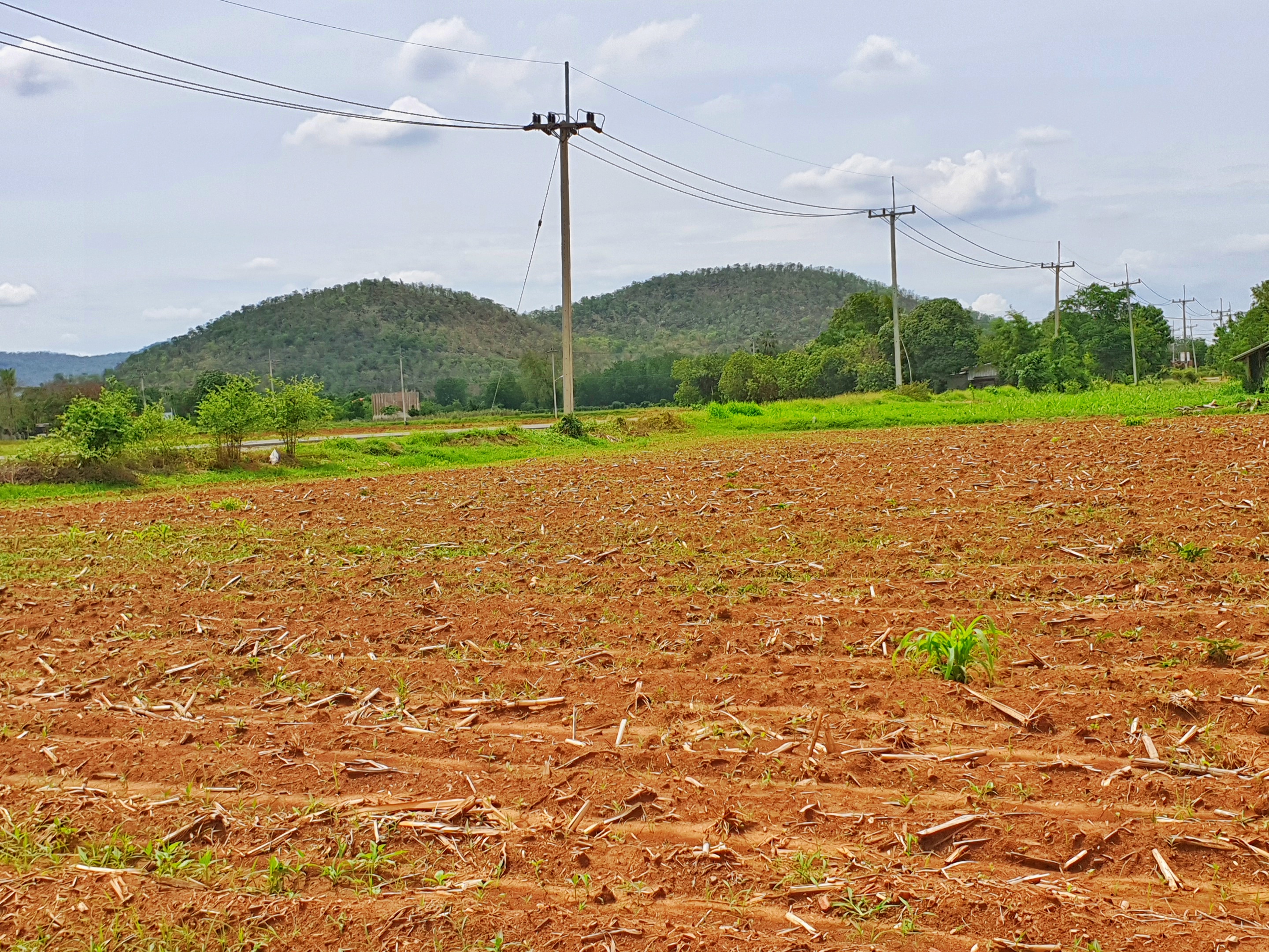 💰ขายแล้ว💰ขายที่ดินติดถนนลาดยาง วิวภูเขา อ.อู่ทอง จ. สุพรรณบุรี เนื้อที่ 9-3-18 ไร่ ขายไร่ละ 2.5 แสน ที่สวยบรรยากาศดี วิวทิวทัศน์สวยงาม ใกล้แหล่งชุมชน น้ำไฟเข้าถึง