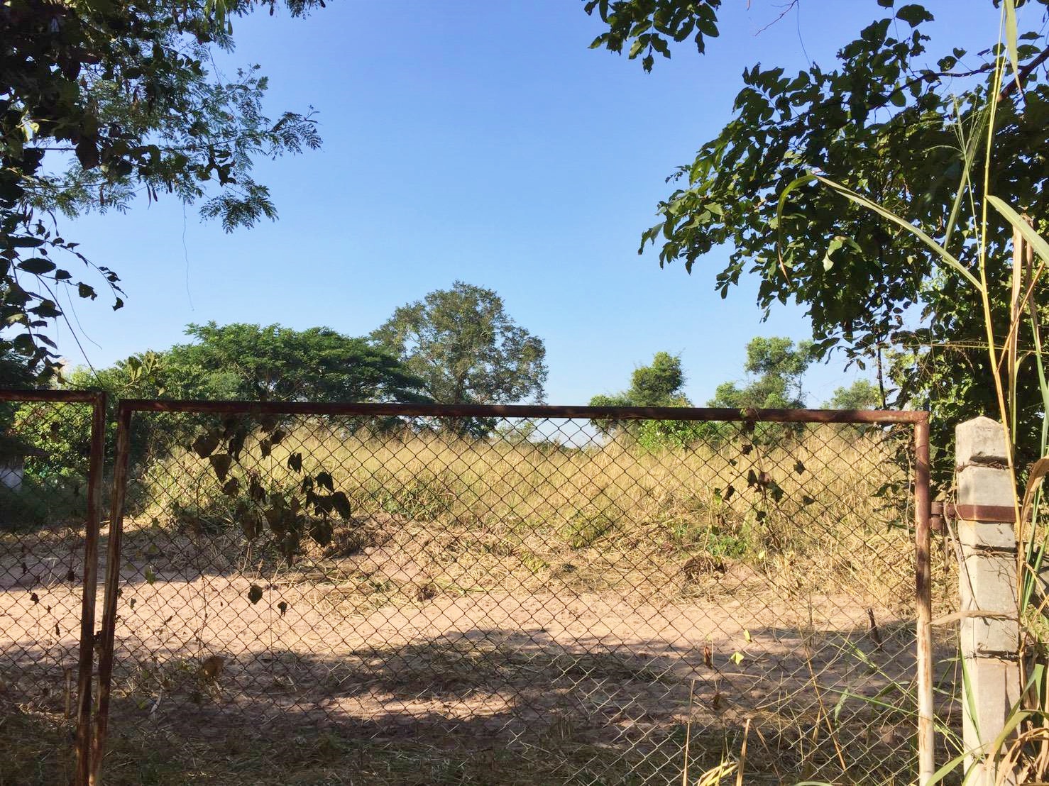 ขายที่ดินโฉนดแปลงสวย ทำเลดี อ.ขามทะเลสอ จ.นครราชสีมา เนื้อที่ 2 ไร่ 3 งาน 4 ตรว ไร่ละ 2.65 ล้าน {ขายยกแปลง} รวมค่าโอน+ภาษี อยู่หลังที่ว่าการอำเภอขามทะเลสอ ติดถนน แปลงสวย ทำเลดีมากๆ ห่างจากสำนักงานกรมที่ดินโคราช สาขาขามทะเลสอ 160 เมตร