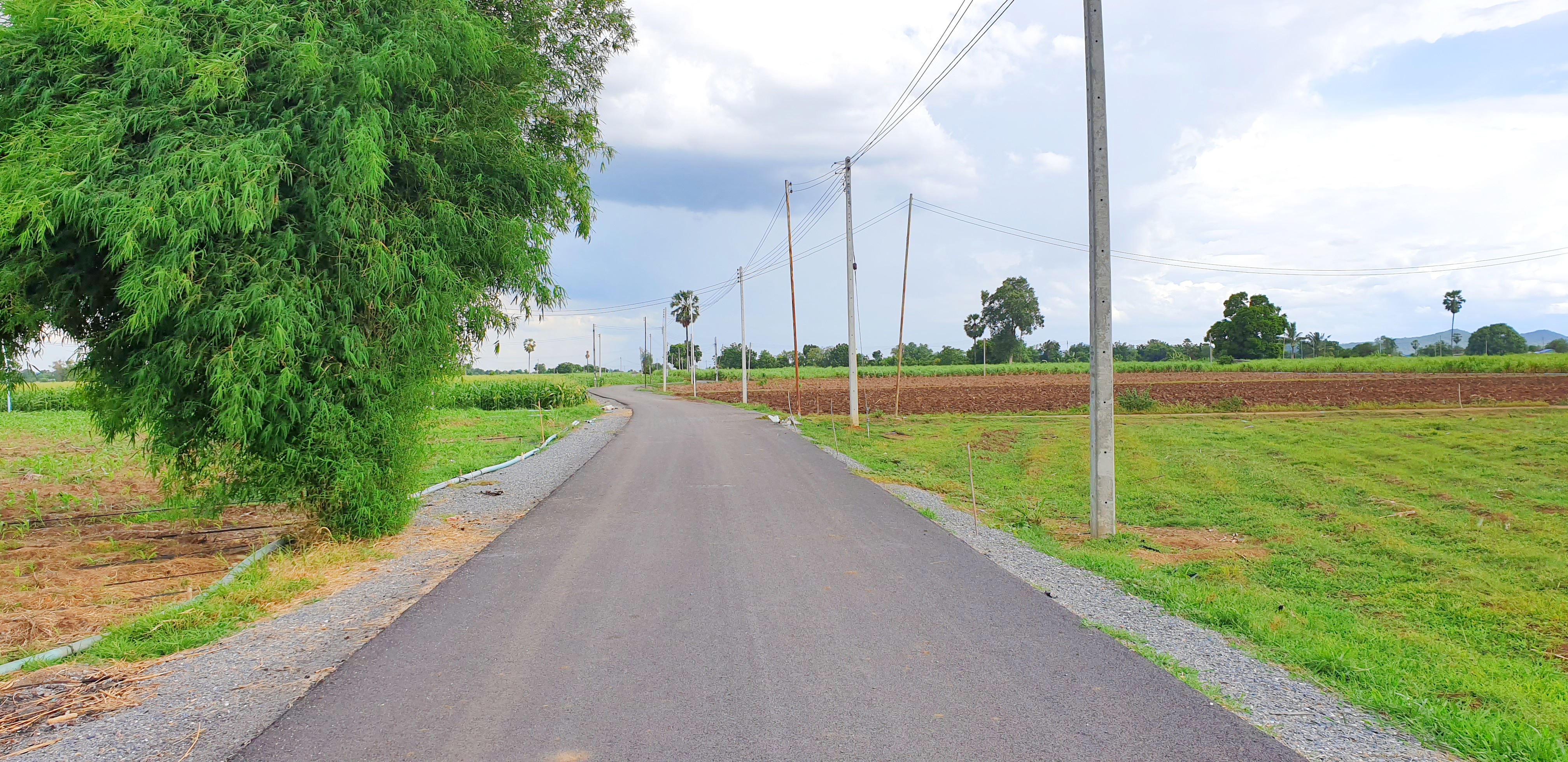 💰ขายแล้ว💰ขายที่ดินวิวสวย ติดถนนลาดยาง บรรยากาศดี วิวทิวทัศน์สวยงาม อ.อู่ทอง จ.สุพรรณบุรี เนื้อที่ 10 ไร่ ราคาไร่ละ 280,000 บาท ด้านหน้าติดถนนลาดยาง เข้า-ออก ได้หลายทาง
