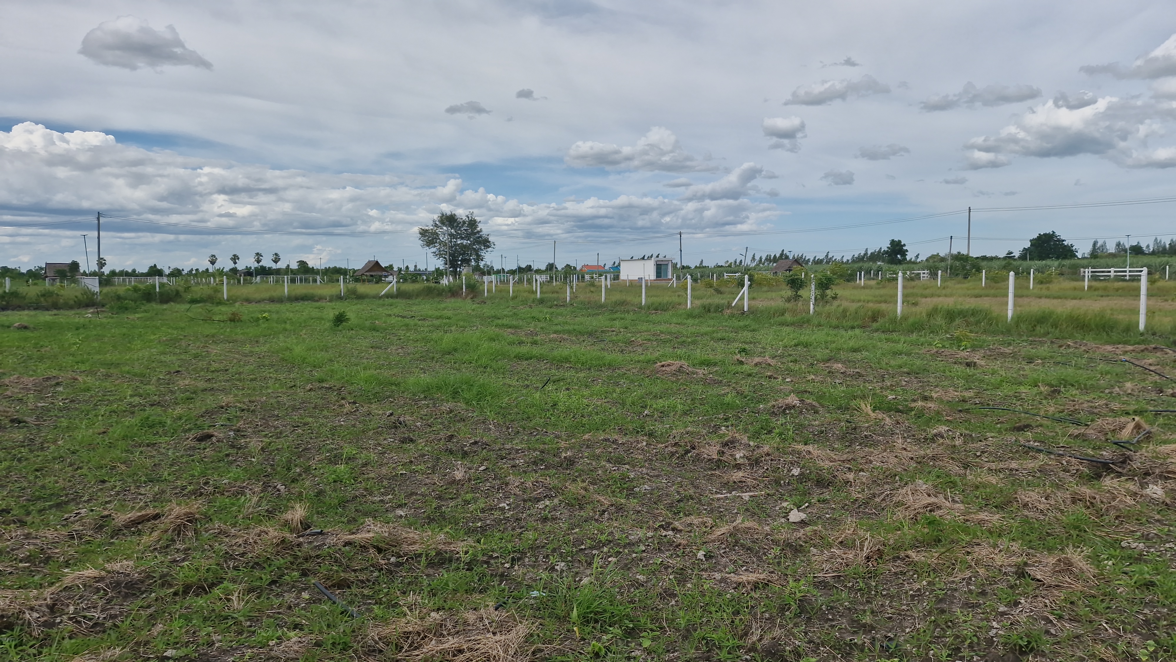 ขายถูก! ที่ดิน 1 ไร่ 2 งาน อ.อู่ทอง สุพรรณบุรี ถมแล้วพร้อมรั้ว ติดถนนลาดยาง ใกล้โรงเรียน วัด โรงพยาบาล ตลาดสด หน้ากว้าง 32 ม. ลึก 82 ม. ถมแล้ว มีรั้ว 💰 ราคาเพียง 629,000 บาท