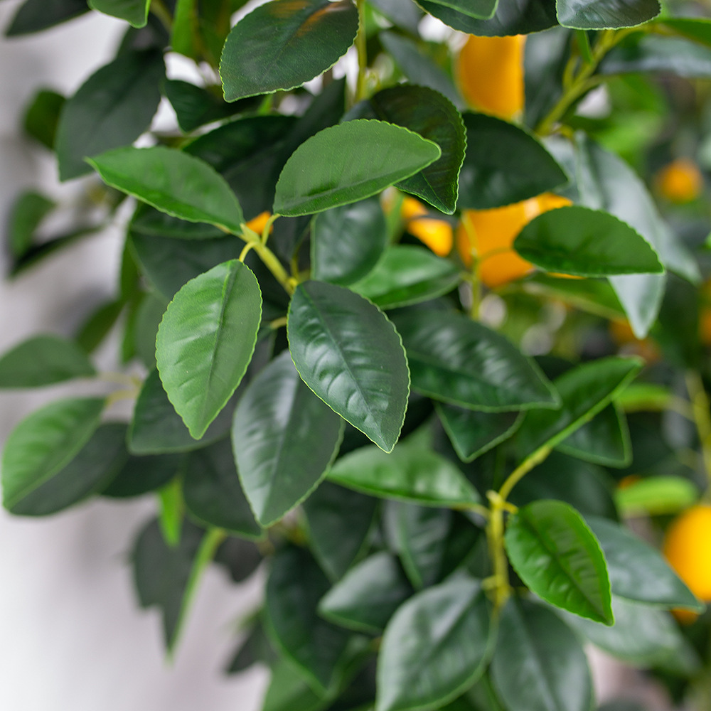 ต้นเลม่อนปลอม🍋 พร้อมกระถาง (ขนาด120cm)