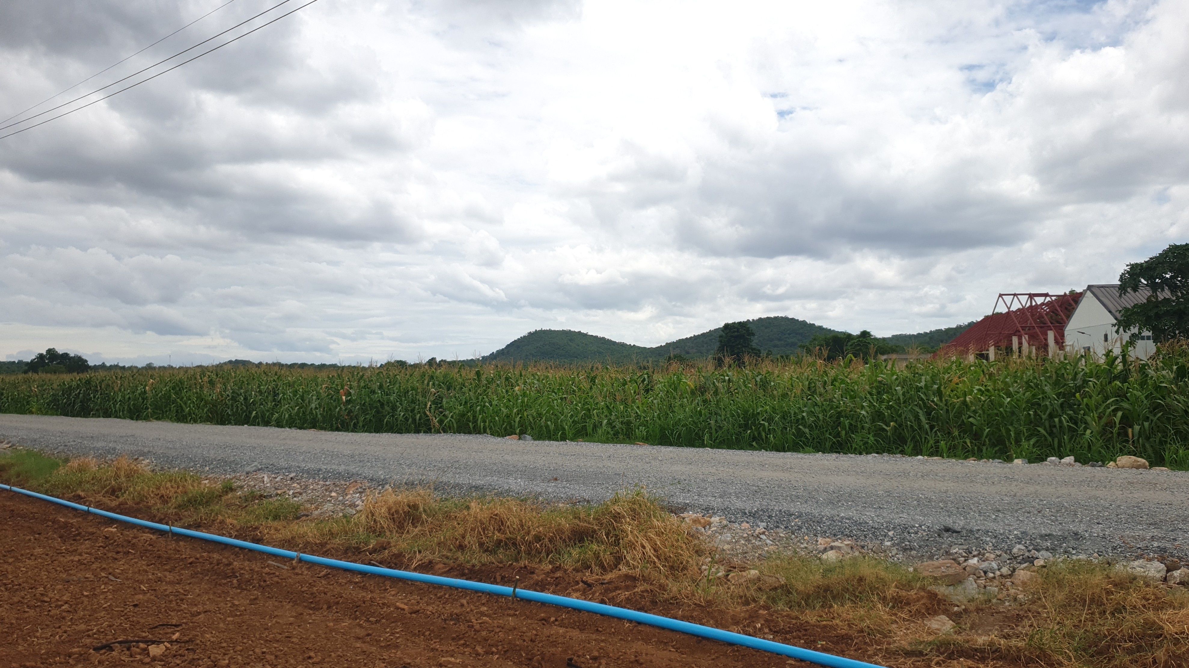 ขายที่ดินสวย 12 ไร่ 2 งาน 53.5 ตร.ว. หน้ากว้างติดถนนสาธารณะ 193 ม. วิวภูเขา 180° อากาศดี เงียบสงบ เหมาะทำบ้านพัก รีสอร์ต หรือเกษตรครบวงจร โอบล้อมด้วยทิวเขา 180° วิวอลังการเต็มตา บรรยากาศธรรมชาติสุดฟิน