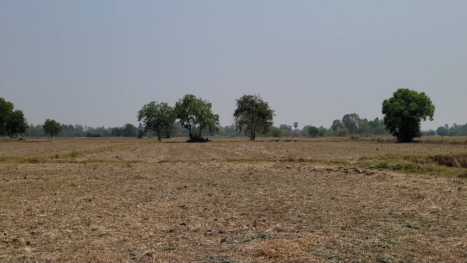 ที่ดินติดถนนใหญ่ 333ราคาเบา วิวสวย ทำเลท่องเที่ยวครบ จองด่วน! อ.อู่ทอง จ.สุพรรณบุรี ถูกกว่าตลาดเท่าตัว! 17ไร่ เหมาะรีสอร์ท/คาเฟ่/โกดัง ที่ดินศักยภาพสูง เหมาะกับการลงทุนเป็นอย่างยิ่ง