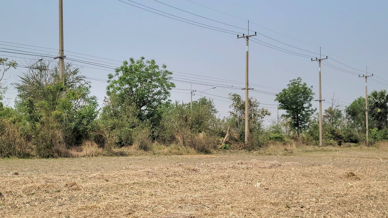 ที่ดินติดถนนใหญ่ 333ราคาเบา วิวสวย ทำเลท่องเที่ยวครบ จองด่วน! อ.อู่ทอง จ.สุพรรณบุรี ถูกกว่าตลาดเท่าตัว! 17ไร่ เหมาะรีสอร์ท/คาเฟ่/โกดัง ที่ดินศักยภาพสูง เหมาะกับการลงทุนเป็นอย่างยิ่ง