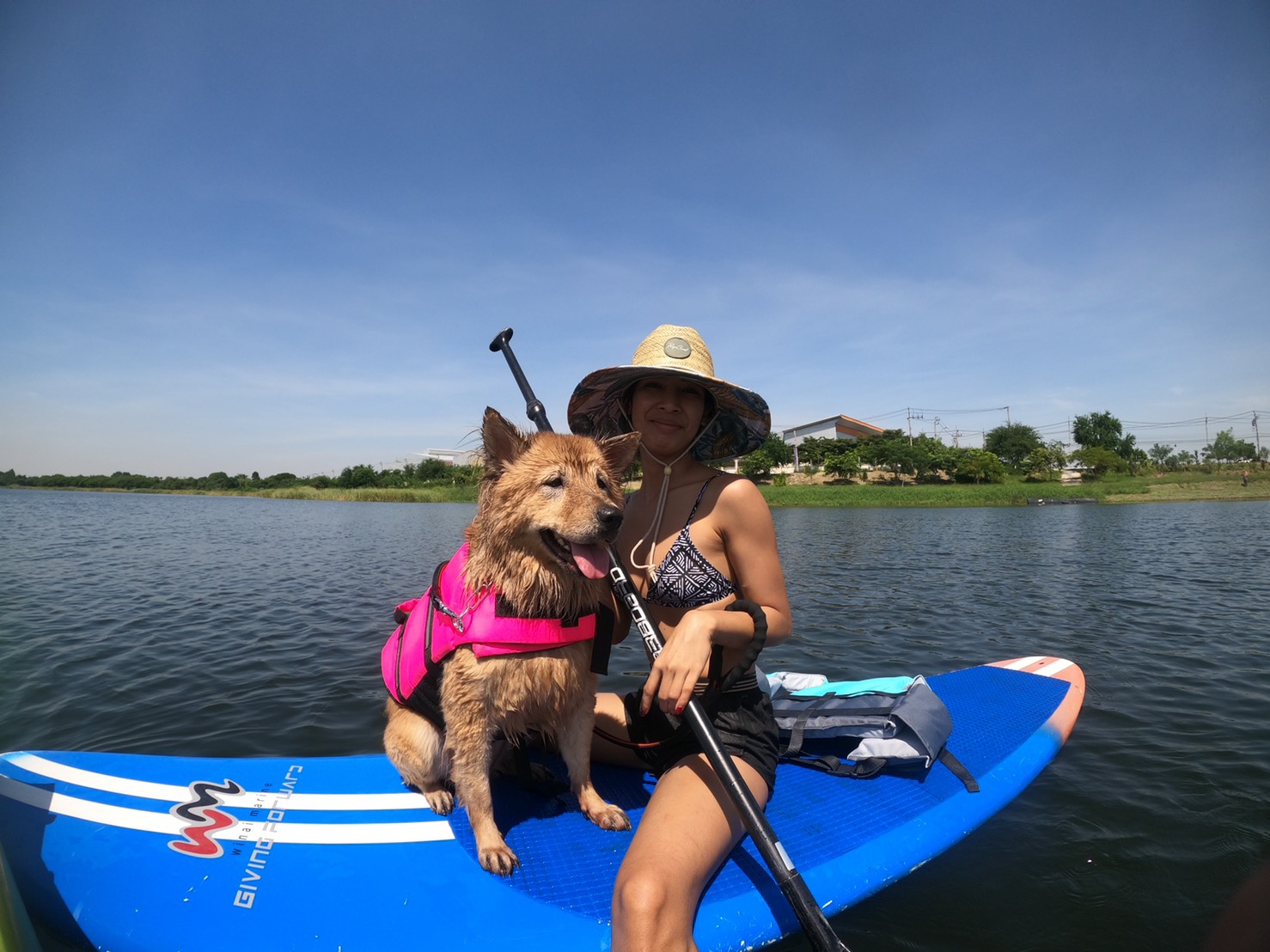 เสื้อชูชีพสุนัข Dogtalog เบอร์ XL