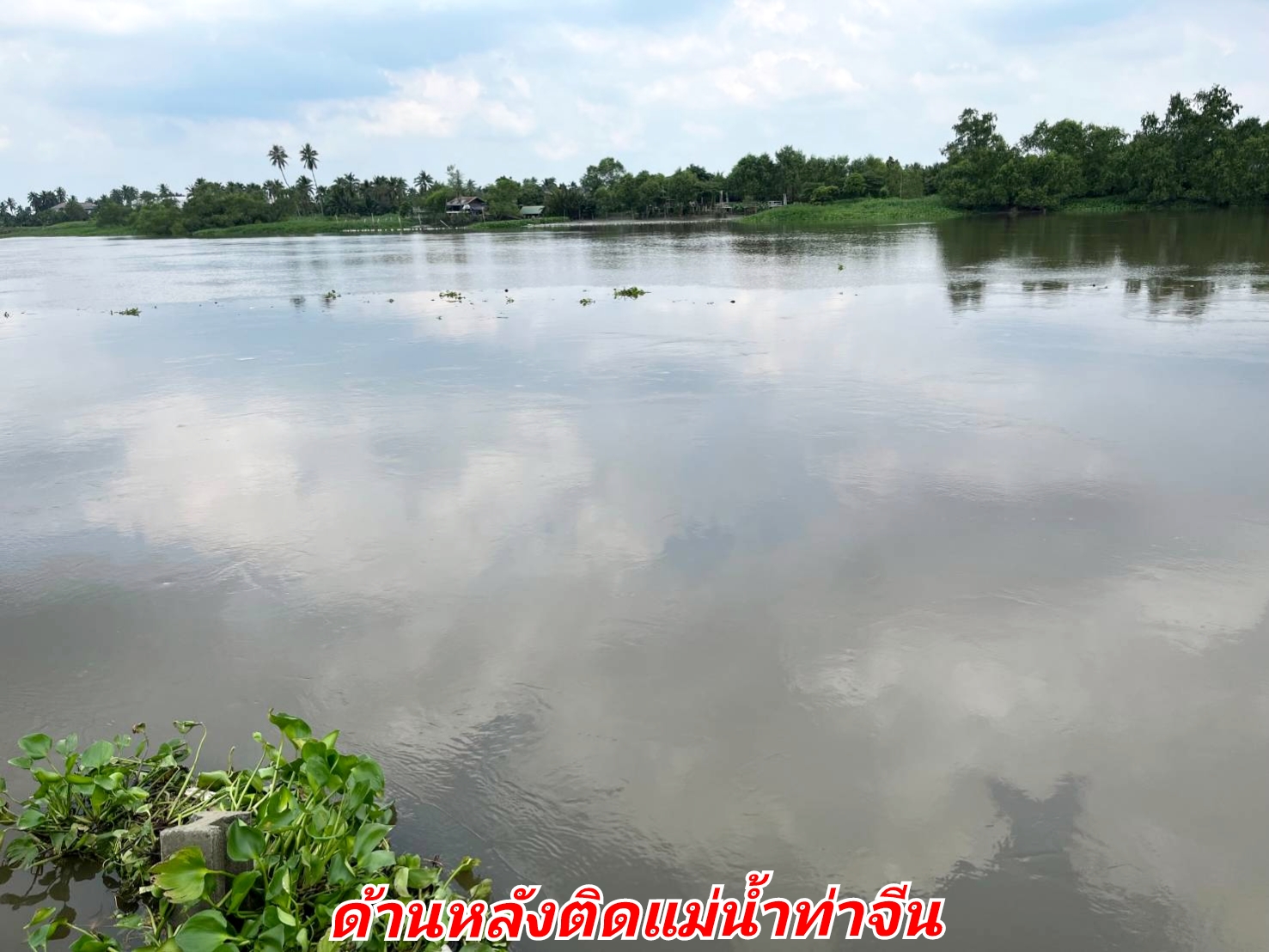 🔴💕ติดทรัพย์ 💕🔴ขายที่ดินติดแม่น้ำท่าจีน ด้านหน้าและด้านข้างติดถนน ด้านหลังติดแม่น้ำ ที่สวยมาก เป็นรูปสี่เหลี่ยม เนื้อที่ 9-0-25 ไร่ ขายยกแปลง 48 ล้าน รวมค่าโอน ต.ท่าเสา อ.กระทุ่มแบน จ.สมุทรสาคร ที่ดินติดถนน 2 ด้าน ด้านข้างติ