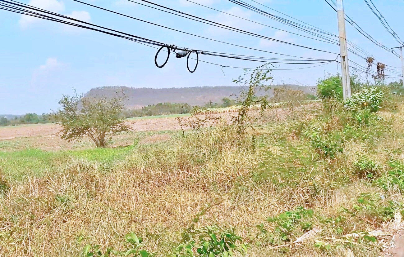 { ติดทรัพย์ } ขายที่ดินโคราช 346 ไร่ 2 งาน ไร่ละ 1.3 ล้าน ติดถนนสี่เลนสาย 304 กบินทร์บุรี-ปักธงชัย ที่สวย ด้านหน้าติดถนนสี่เลน ด้านหลังภูเขา เหมาะทำโครงการต่างๆ