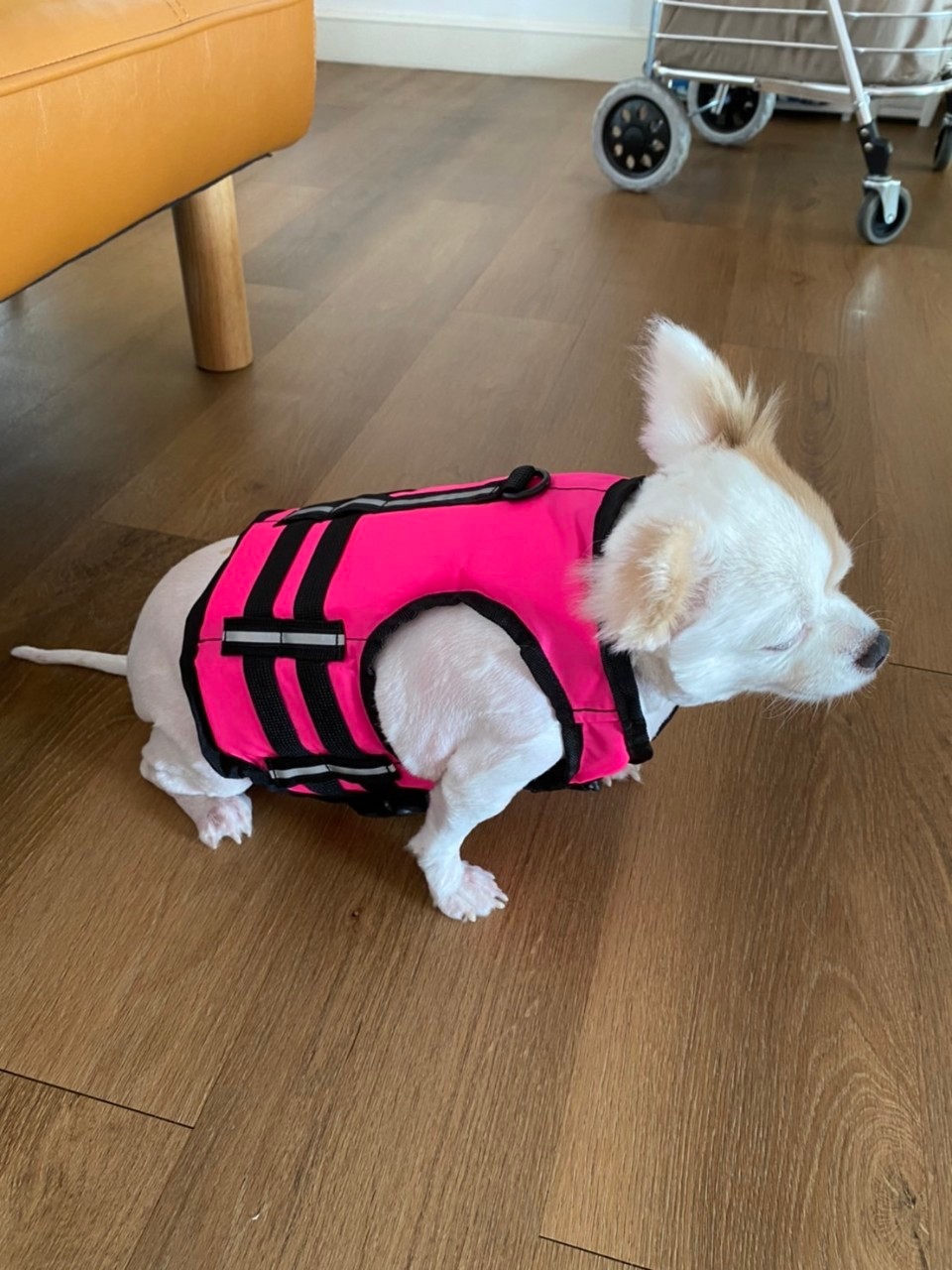 เสื้อชูชีพสุนัขแบบเสื้อกล้าม : สีชมพู