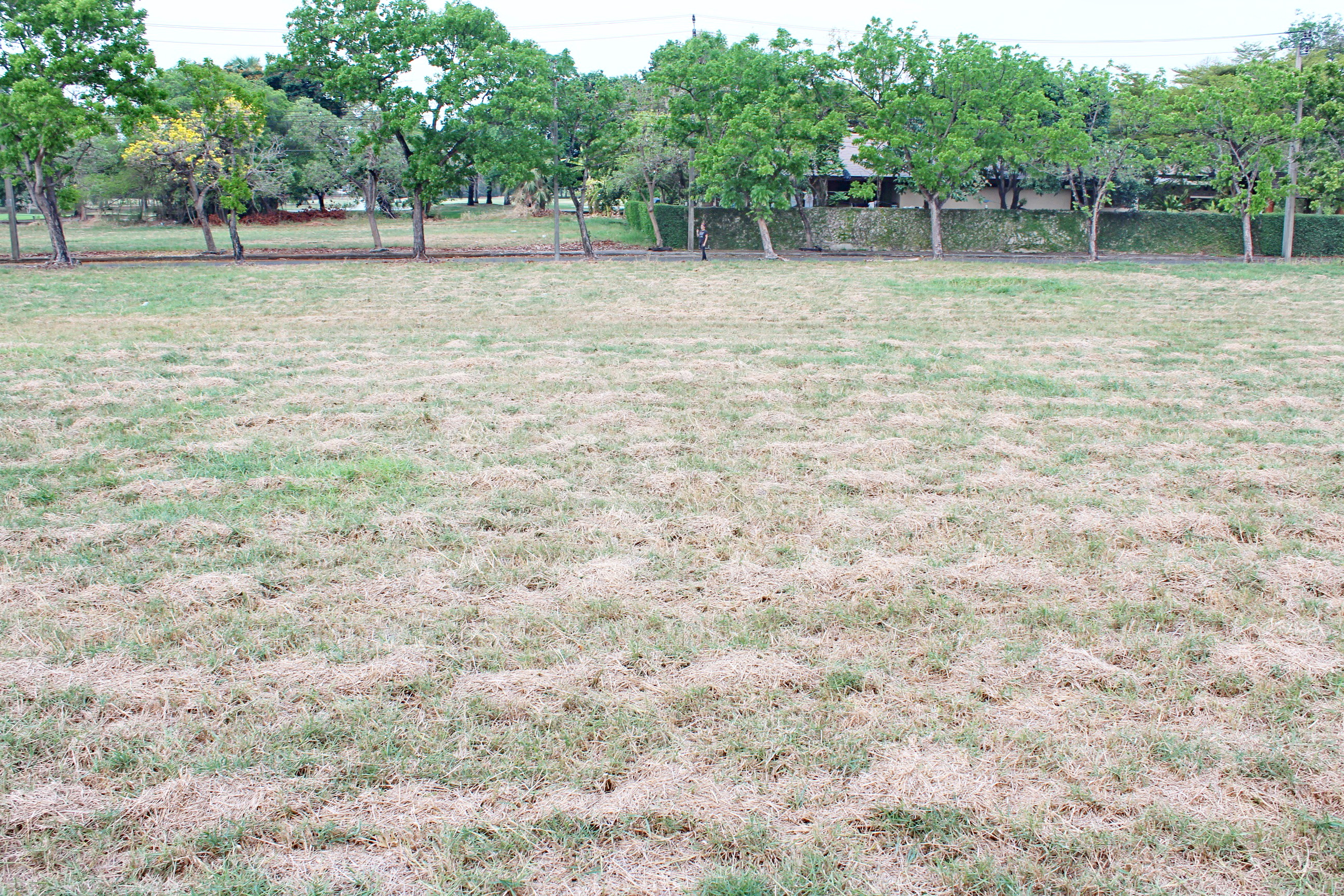 ขายที่ดินเปล่า สนามกอล์ฟเลควูด คันทรีคลับ บางพลี บางนาตราด กม.18 เนื้อที่ 1-0-15 ไร่ หรือ 415 ตร.ว บรรยากาศเป็นส่วนตัว หรู มีระดับ เหมาะสร้างที่อยู่อาศัย