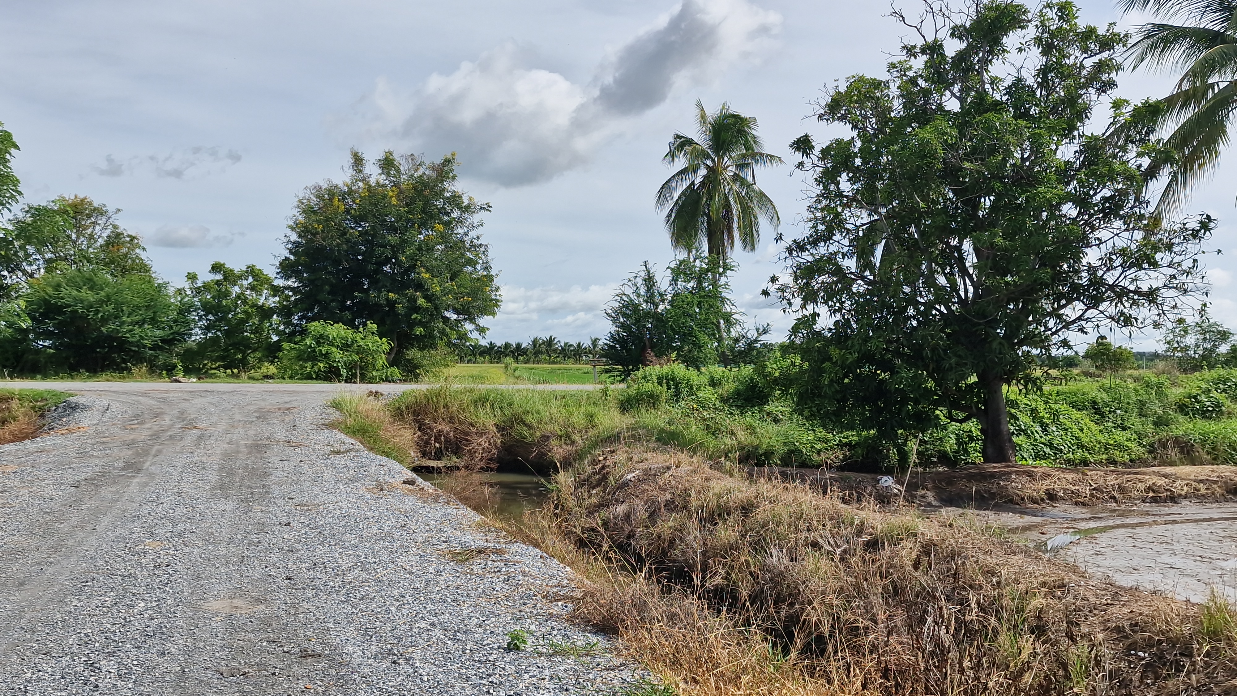 ที่ดินสวย 8 ไร่ 3 งาน 43 ตร.ว. อู่ทอง สุพรรณบุรี หน้ากว้างติดถนนลาดยาง 127 ม. ลึก 153 ม. ทำเลดี มีบ่อน้ำธรรมชาติ ขายเพียง 3.39 ล้าน เหมาะลงทุนหรือทำโครงการ หรือปลูกบ้านพักยามเกษียน ทำเกษตรพอเพียงหรือโคกหนองนา✨