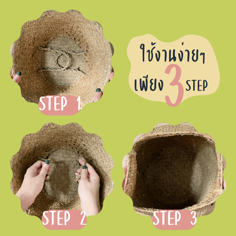 ตะกร้าสานใส่ต้นไม้