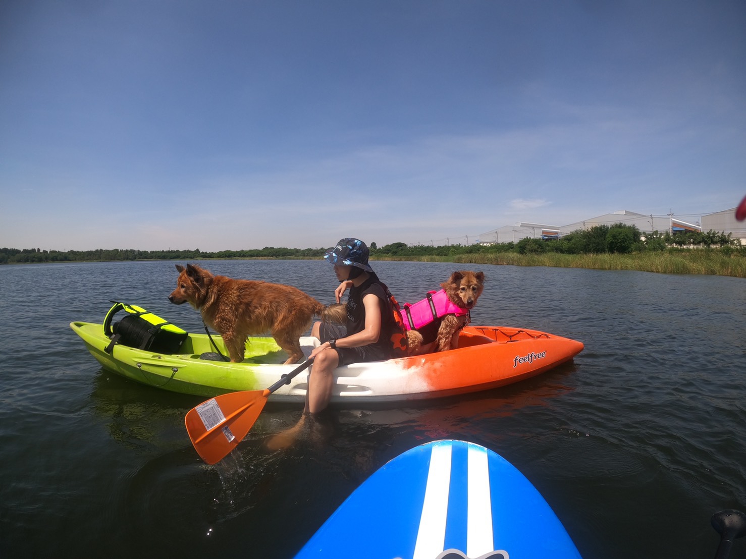 เสื้อชูชีพสุนัข Dogtalog เบอร์ XL