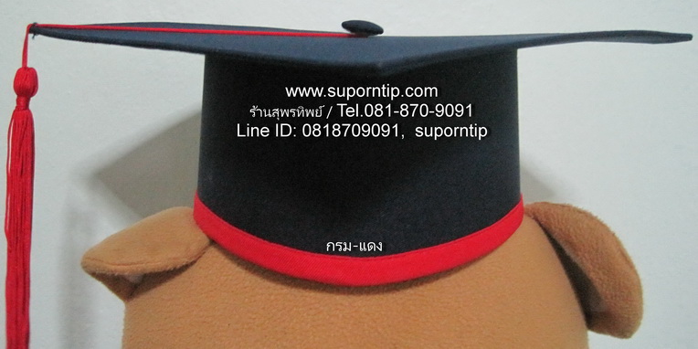 หมวก กรม แดง หมวกบัณฑิตน้อย หมวกรับปริญญา หมวกอนุบาล ประถม มัธยม
