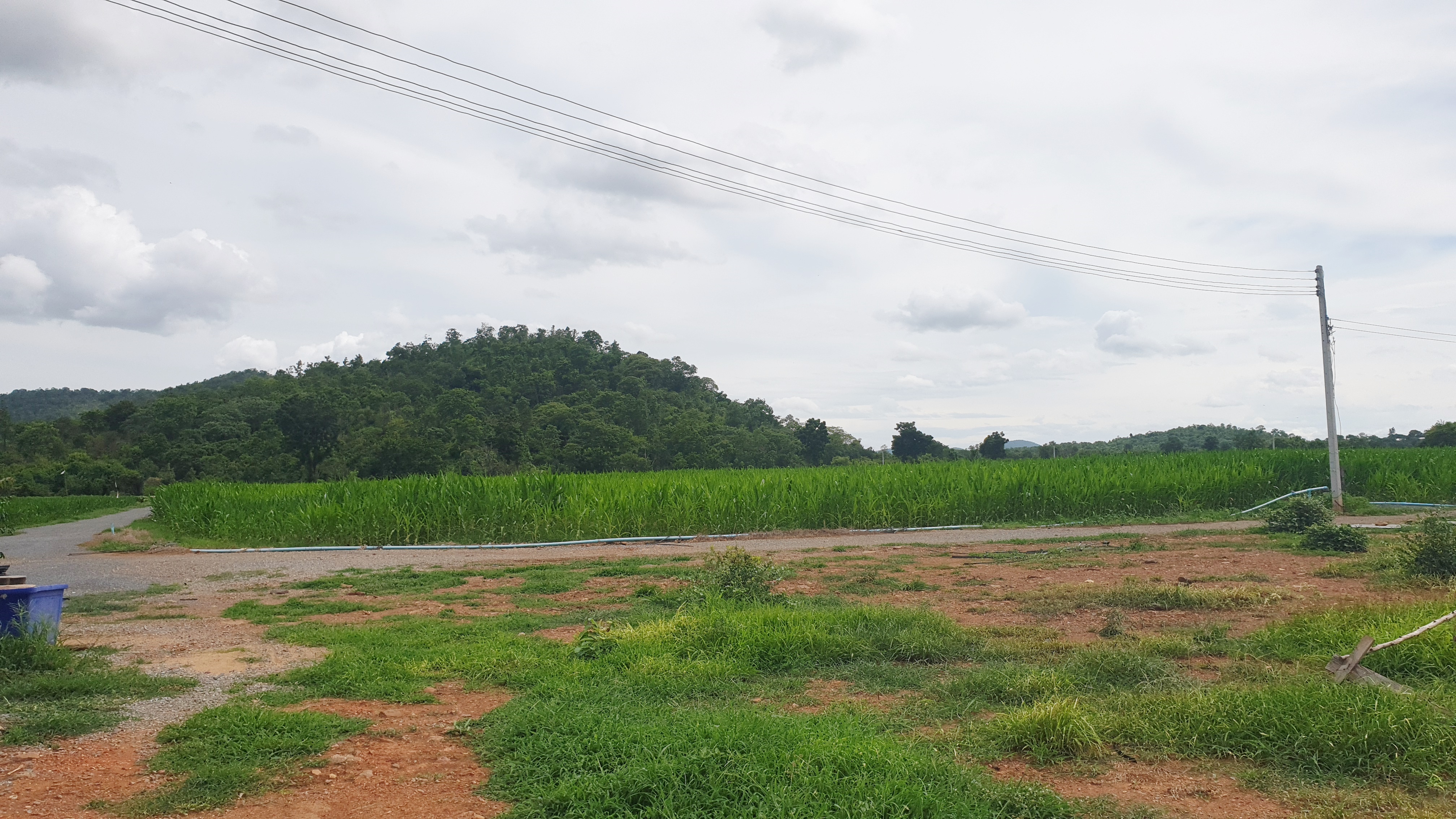 ขายที่ดินวิวภูเขา ชัดรอบทิศ วิวร้อยล้าน ขายราคาหลักแสน ต.พลับพลาไชย อ.อู่ทอง จ.สุพรรณบุรี เนื้อที่ 11 ไร่ 2 งาน 28 ตรว ไร่ละ 480,000 บ. ทางสาธารณะกว้าง 6 เมตร วิวเขา 180 องศา จากถนนทางหลวงชนบทลาดยางเข้ามาประมาณ 80 เมตร ดินดี ที่สวย บรรยากาศดี วิวภูเขารอบท