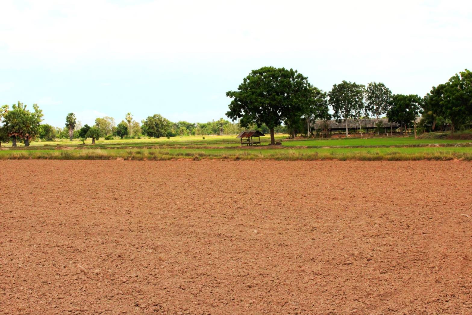 ขายที่ดินแปลงสวย อ. อู่ทอง จ.สุพรรณบุรี ดินดี ที่สวย เนื้อที่ 4-3-95 ไร่ ขายยกแปลง 1,250,000 บาท อยู่ใกล้ชุมชน เซเว่น รร วัด ตลาดนัด จากถนนทางหลวง 333 ประมาณ 900 เมตร