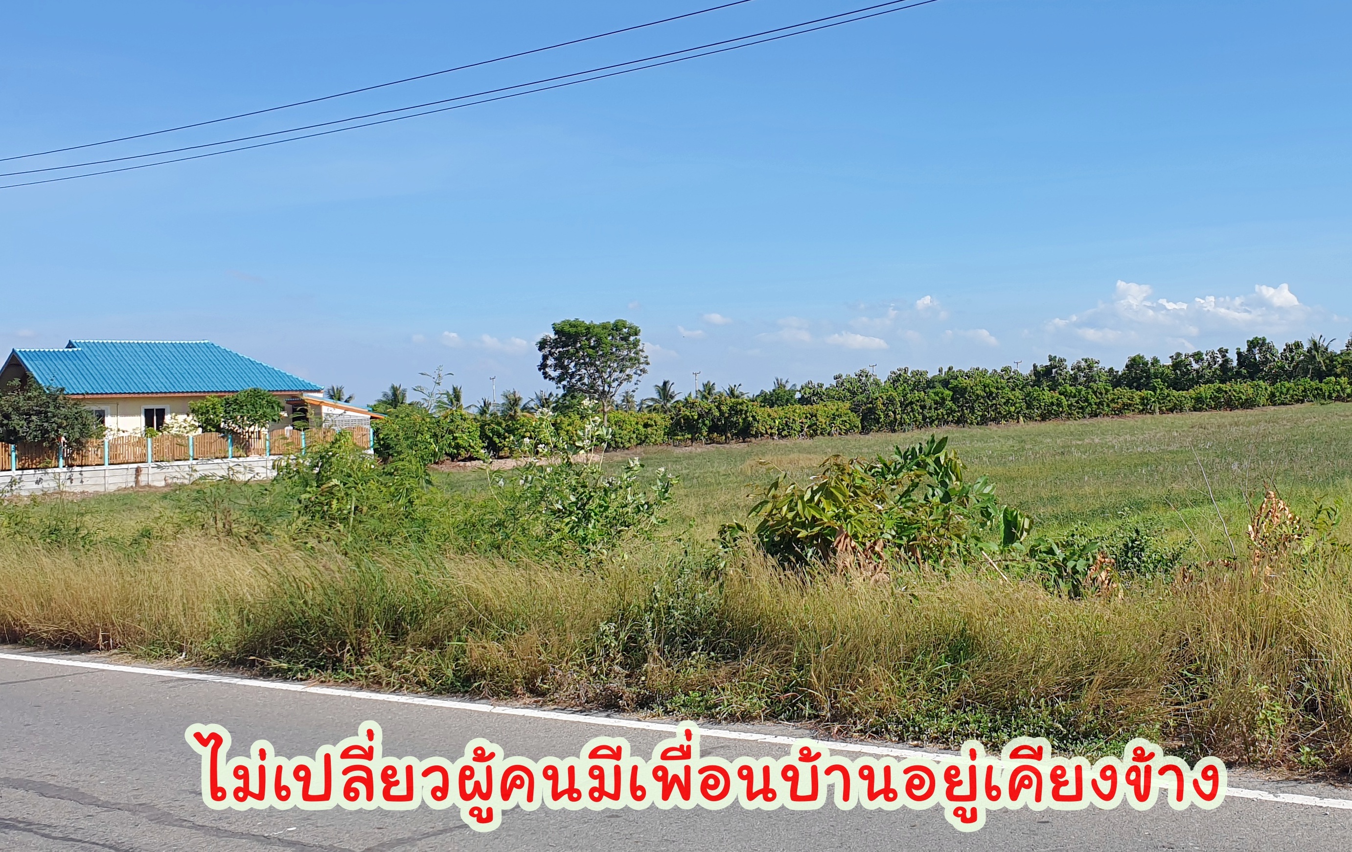 🌌ติดทรัพย์🌌ขายที่ดินติดถนนลาดยาง อ.เมือง จ.สุพรรณบุรี เนื้อที่ 4 ไร่ 2 งาน หน้ากว้างติดถนน 36 เมตร ลึก 195 เมตร อยู่ใกล้ แหล่งน้ำคลองมะขามเฒ่า น้ำอุดมสมบุรณ์ตลอดปี อยู่ใกล้ชุมชน เหมาะปลูกบ้านทำสวนเกษตร ยามเกษียณ หรือเปิดร้านอาหารท่ามกลางธร