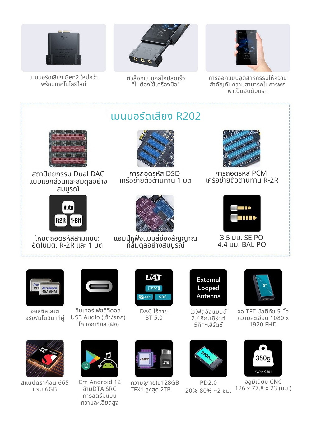Cayin R202 เมนบอร์ดเสียงสำหรับ N6III พร้อมสถาปัตยกรรม DAC คู่ แบบแยกส่วน ประกันศูนย์ไทย