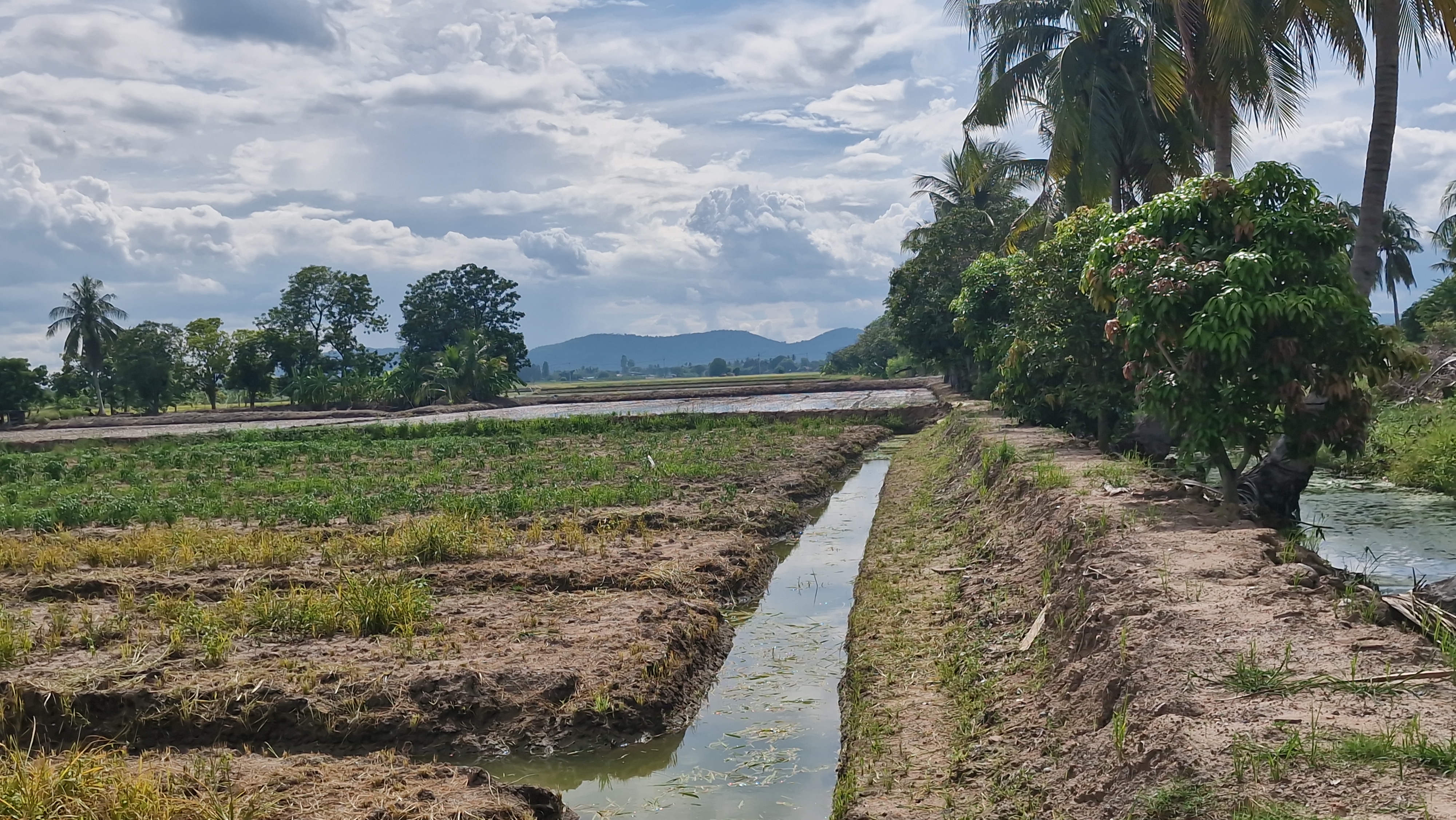 ที่ดินสวย 8 ไร่ 3 งาน 43 ตร.ว. อู่ทอง สุพรรณบุรี หน้ากว้างติดถนนลาดยาง 127 ม. ลึก 153 ม. ทำเลดี มีบ่อน้ำธรรมชาติ ขายเพียง 3.39 ล้าน เหมาะลงทุนหรือทำโครงการ หรือปลูกบ้านพักยามเกษียน ทำเกษตรพอเพียงหรือโคกหนองนา✨