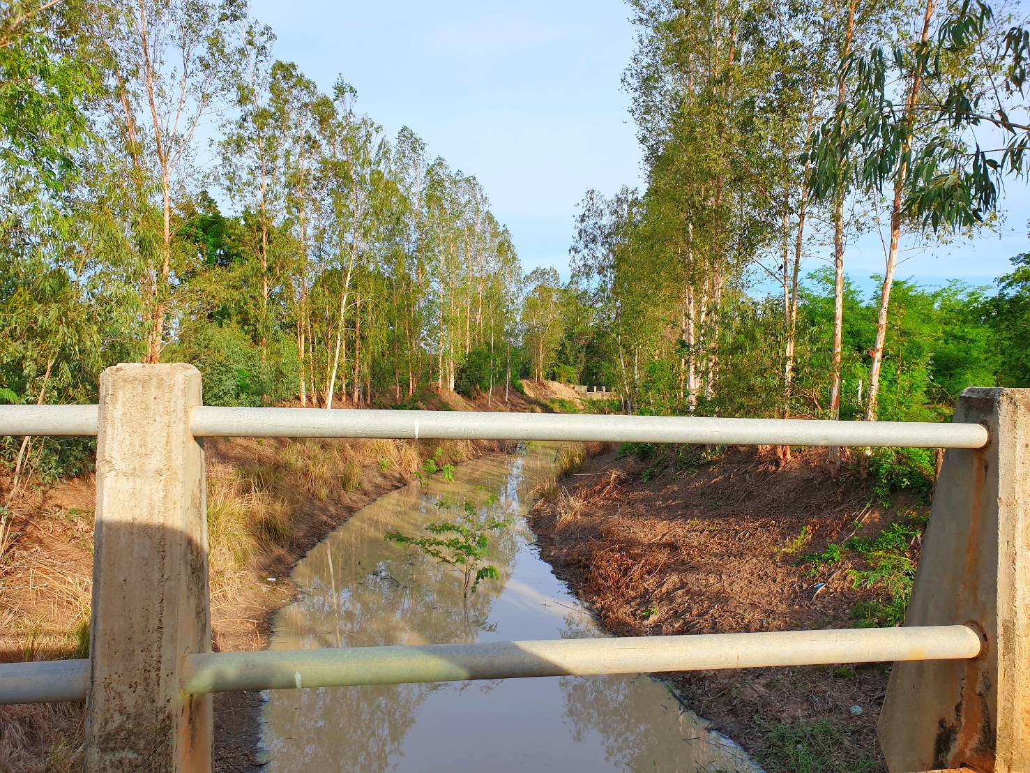 💰ขายแล้ว💰ขายที่ดินทำสวนเกษตร ที่สวย ติดถนน ติดคลอง อ.อู่ทอง จ.สุพรรณบุรี เนื้อที่ 19-1-87 ไร่ ไร่ละ 140,000 บ.
