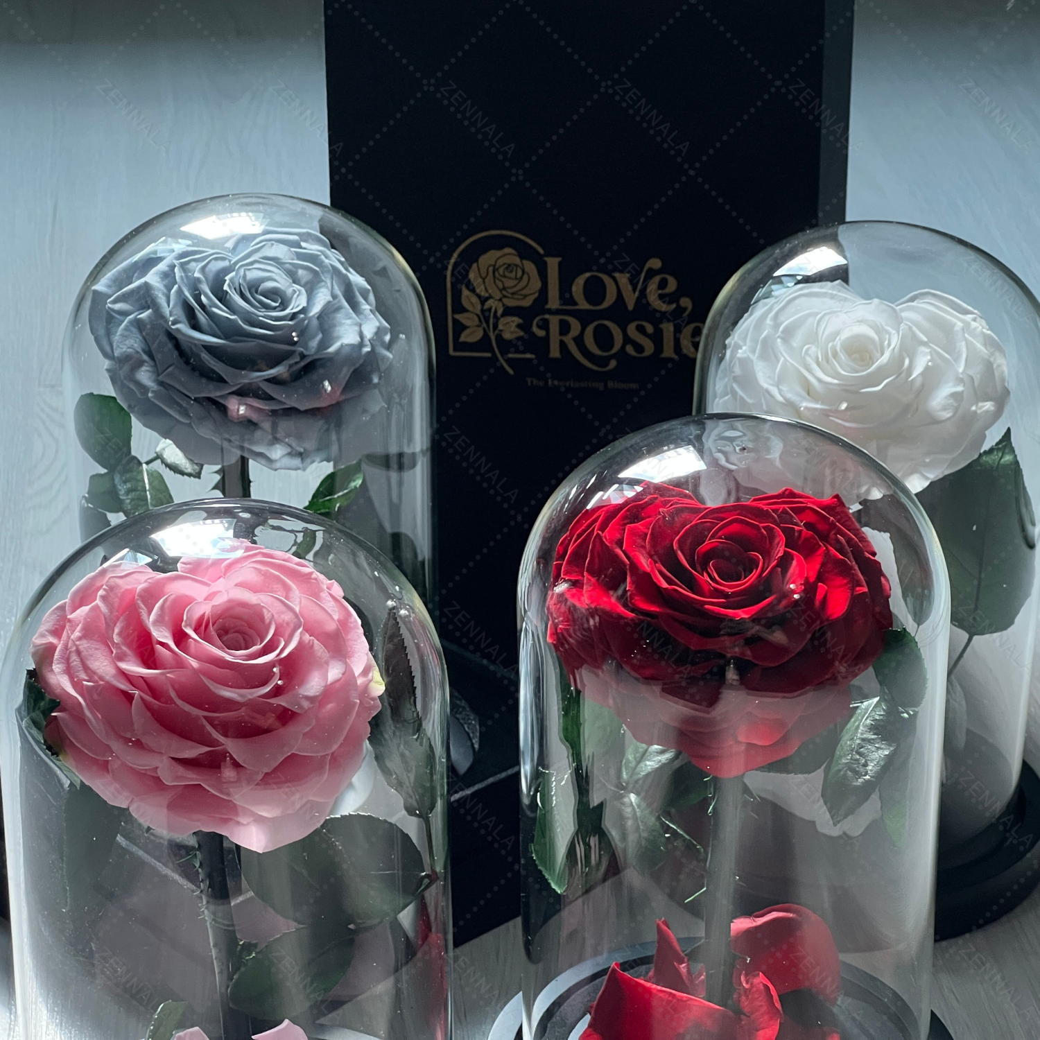 กุหลาบสดในโหลแก้ว ทรงหัวใจ มี 4 สีให้เลือก พร้อมกล่องสุด Premium