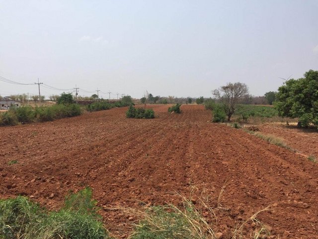 ขายด่วน! ที่ดินติดถนน ที่สวย ทำเลดี ต.ท่ากูบ อ.ซับใหญ่ จ.ชัยภูมิ เนื้อที่ 10ไร่ 35 ตารางวา วิวมองเห็นโครงการกังหันลม ใกล้อ่างเก็บน้ำ