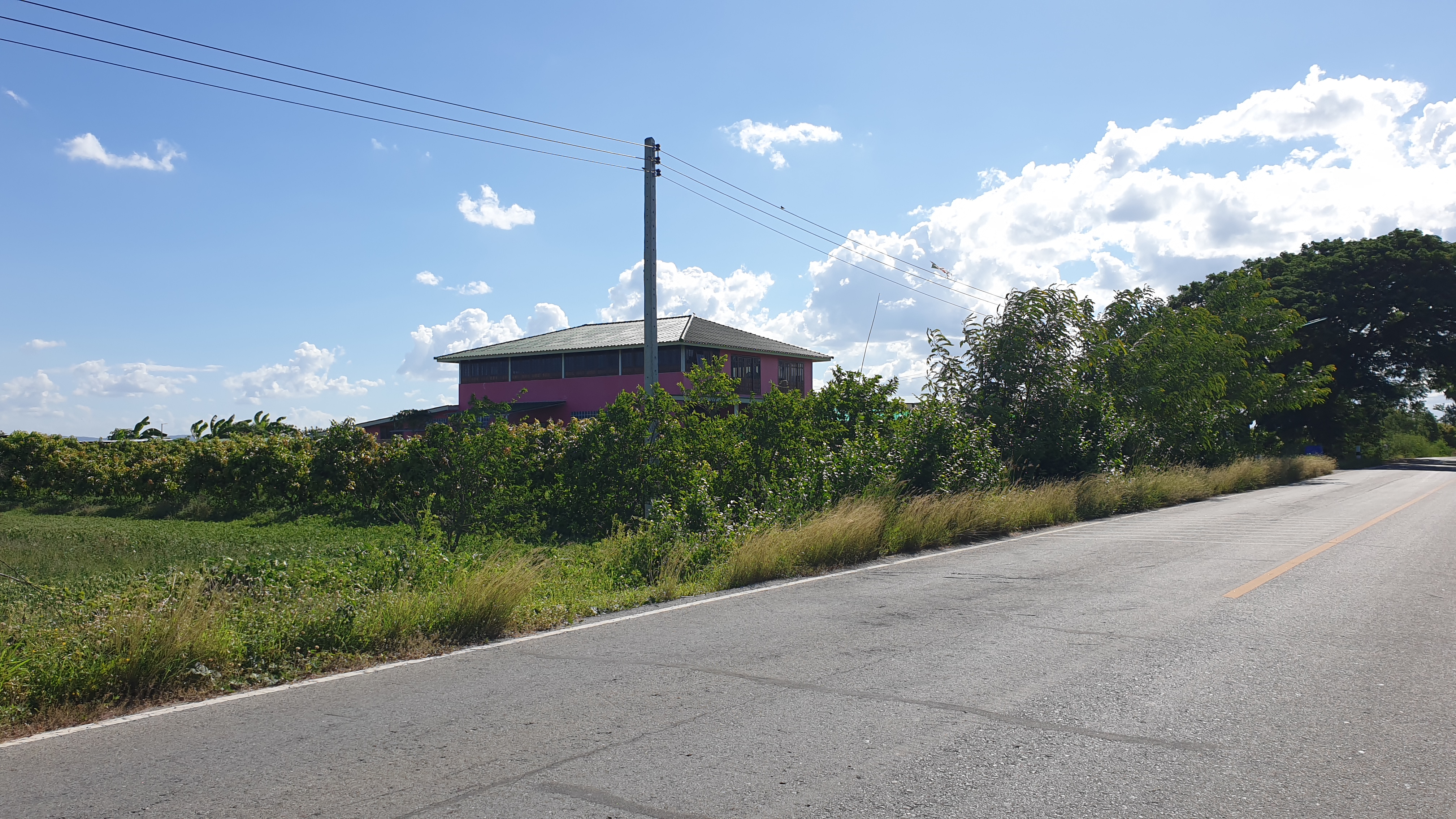 🌌ติดทรัพย์🌌ขายที่ดินติดถนนลาดยาง อ.เมือง จ.สุพรรณบุรี เนื้อที่ 4 ไร่ 2 งาน หน้ากว้างติดถนน 36 เมตร ลึก 195 เมตร อยู่ใกล้ แหล่งน้ำคลองมะขามเฒ่า น้ำอุดมสมบุรณ์ตลอดปี อยู่ใกล้ชุมชน เหมาะปลูกบ้านทำสวนเกษตร ยามเกษียณ หรือเปิดร้านอาหารท่ามกลางธร