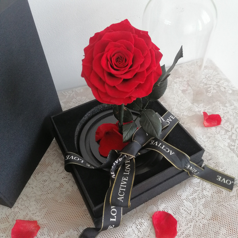 กุหลาบสดในโหลแก้ว Size M พร้อมกล่องสุด Premium