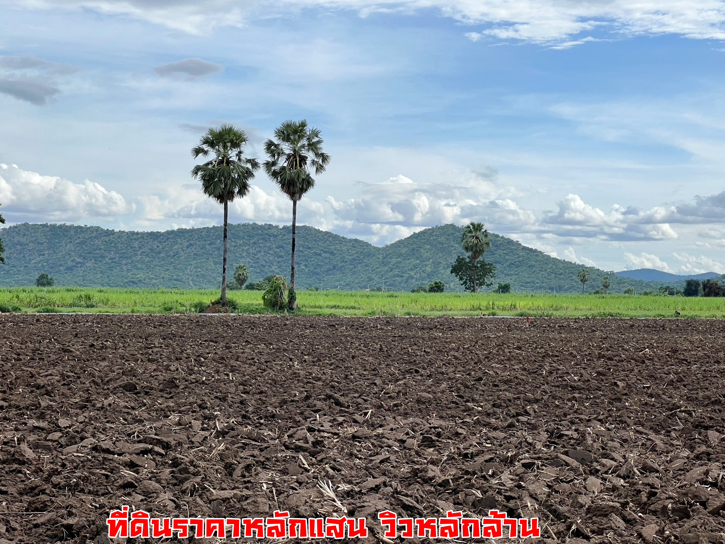 💰ขายแล้ว💰ขายที่ดินวิวเขา อ.อู่ทอง จ.สุพรรณบุรี เนื้อที่ 7 ไร่3 งาน ใกล้กรุงเทพ 110 ก.ม. ใกล้ตลาดอู่ทอง ใจกลางชุมชน ที่สวย บรรยากาศดี วิวทิวทัศน์สวยงาม ราคาถูก ใกล้ตลาดอู่ทอง ไฟฟ้าประปาครบครัน