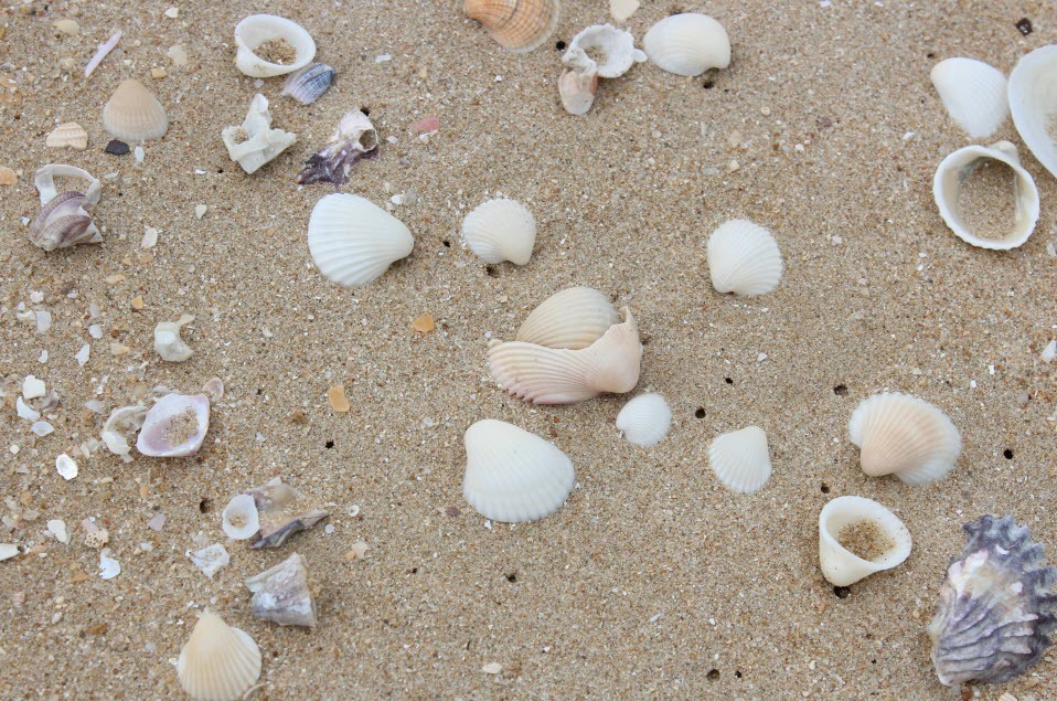 ð§§āļāļīāļāļāļĢāļąāļāļĒāđð§§āļāļēāļĒāļāđāļēāļāļāļąāļāļāļēāļāļāļēāļāļēāļĻāļāļīāļāļāļ°āđāļĨ āļāļĢāļĢāļĒāļēāļāļēāļĻāļāļĩ āļŦāļēāļāļŠāđāļ§āļāļāļąāļ§ āđāļāļ·āđāļāļāļĩāđ 309 āļāļĢāļ§. āļāļēāļĒāļāļąāđāļāļŦāļĄāļāļĢāļ§āļĄāļāđāļēāđāļāļ 32 āļĨāđāļēāļ āļāļēāļāļŠāļ°āļāļēāļ āļāļĢāļ°āļāļ§āļāļāļĩāļĢāļĩāļāļąāļāļāđ āļĢāļīāļĄāļāļēāļĒāļŦāļēāļāļŠāđāļ§āļāļāļąāļ§ 2 āļāļēāļāļēāļĢ āļĄāļĩāļŠāļĢāļ°āļ§āđāļēāļĒāļāđāļģ āļ.āļāļēāļāļŠāļ°āļāļēāļ āļāļīāļāļāļ°āđāļĨ āļŦāļēāļāļŠāđāļ§āļāļāļąāļ§ āļ§āļīāļ§āļāļ°āđāļĨāļŠāļ§āļĒāļĄāļēāļ