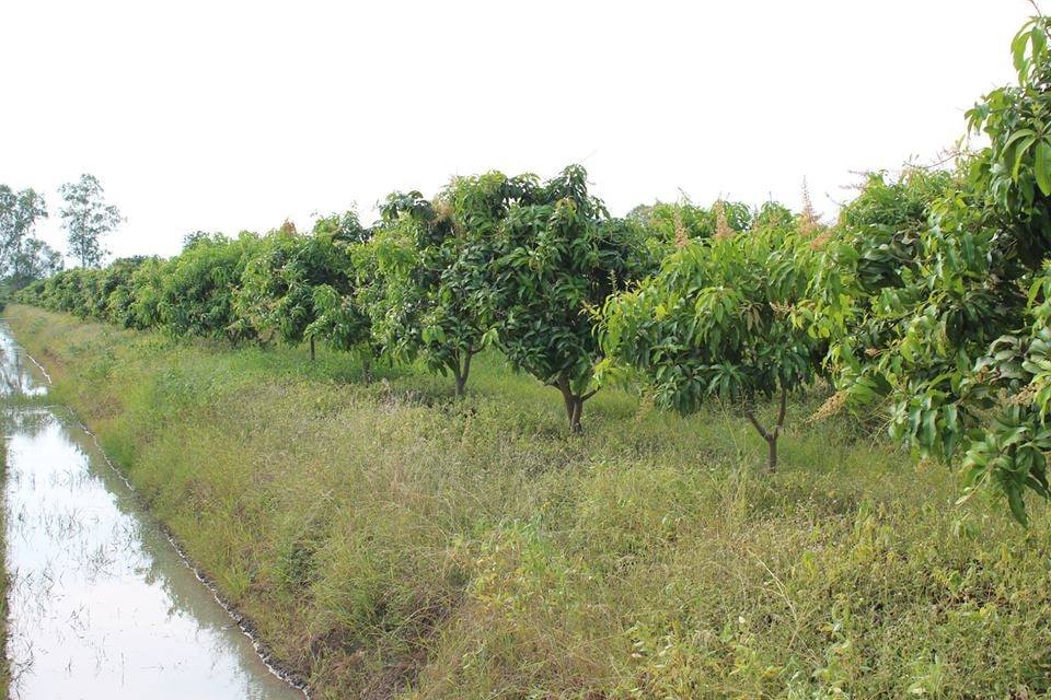 ð°āļāļēāļĒāđāļĨāđāļ§ð°āļāļēāļĒāļāļĩāđāļāļīāļāļŠāļ§āļāļĄāļ°āļĄāđāļ§āļ āļ.āđāļĄāļ·āļāļ āļ.āļŠāļļāļāļĢāļĢāļāļāļļāļĢāļĩ āđāļāļ·āđāļāļāļĩāđ 10-0-22 āđāļĢāđ āļāļēāļĒāđāļĢāđāļĨāļ° 5 āđāļŠāļ āļāđāļēāļāļŦāļāđāļēāļāļīāļāļāļāļāļāļēāļāļŦāļĨāļ§āļāļāļāļāļ 3006 āļāļĩāđāļŠāļ§āļĒ āļŦāļāđāļēāļāļ§āđāļēāļāļāļīāļāļāļāļ 85 āđāļĄāļāļĢ ðāļāđāļēāļāļŦāļĨāļąāļāļāļāļāļŠāļēāļāļēāļĢāļāļ°āļāļĢāļ°āđāļĒāļāļāđ āļāļ§āđāļēāļ 75 āđāļĄāļāļĢ āļĄāļ°āļĄāđāļ§āļ 800 āļāļ§āđāļēāļāđāļ āļāļēāļĒāļļ 5-6 āļāļĩ āļāļĢāđāļāļĄāđāļāđāļ