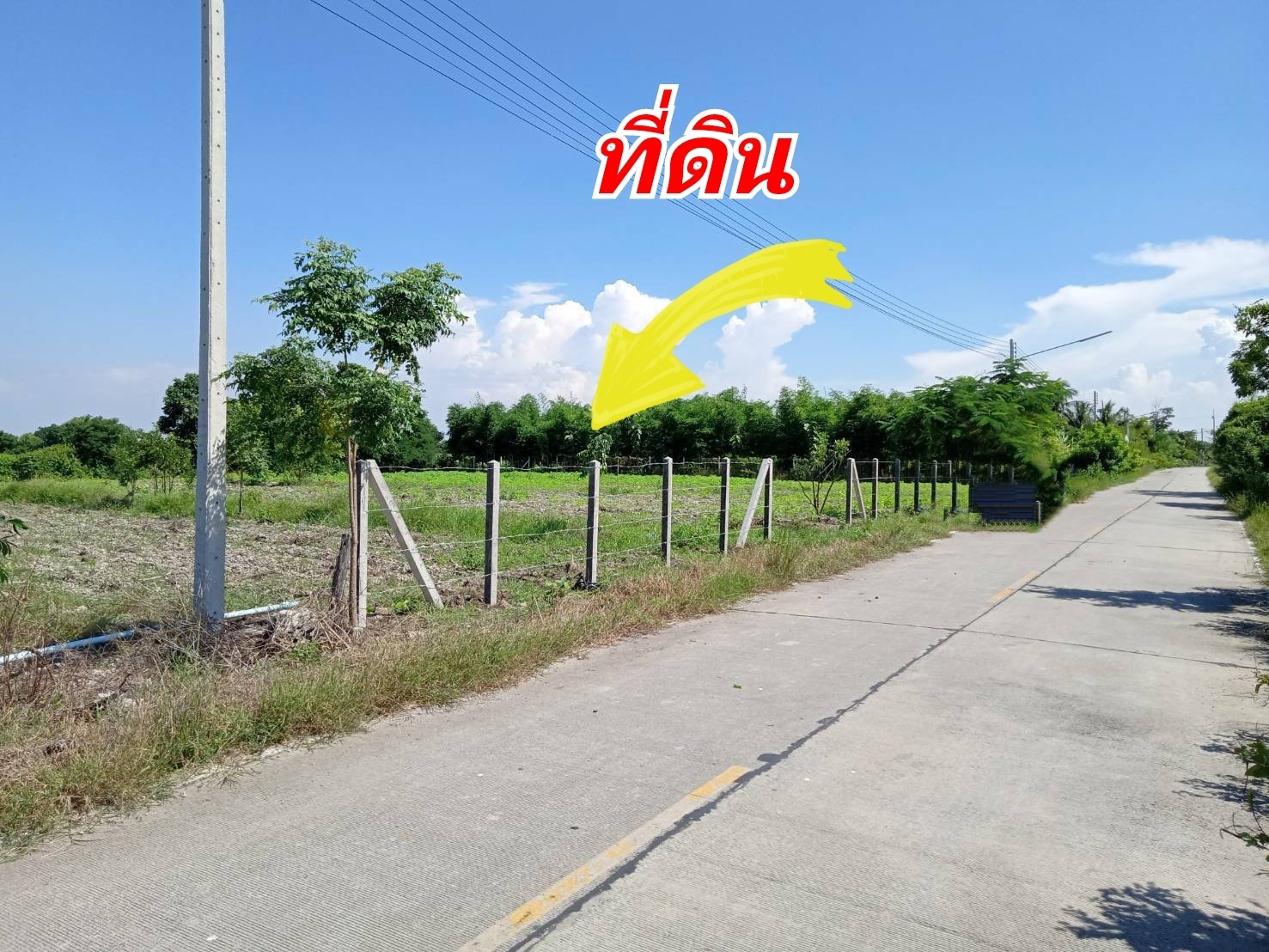 ขายด่วน! ที่ดินทำเลทอง วิวสวย ใกล้ชิดธรรมชาติ ที่ดิน 2 ไร่ บรรยากาศสุดฟิน วิวภูเขาเตะตา ไร่ละ 499,990 บาท (รวมค่าโอนและภาษีทั้งหมด) ต.พลับพลาชัย อ.อู่ทอง จ.สุพรรณบุรี ทำเลดีเยี่ยม: ติดถนนคอนกรีตขนาดกว้าง รถสวนกันได้สะดวก