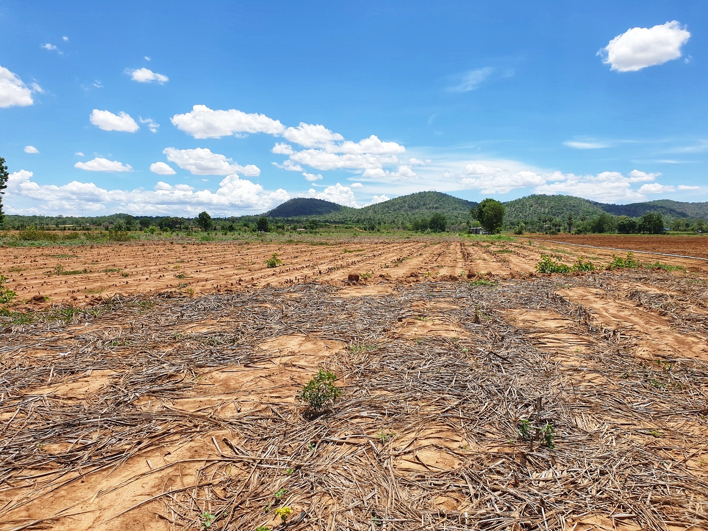 💰ขายแล้ว💰ขายที่ดินสวยราคาถูก อ.อู่ทอง จ.สุพรรณบุรี ดินดี ที่สวย บรรยากาศดี วิวภูเขา เนื้อที่ 16 ไร่ ไร่ละ 180,000 บ. อยู่ใกล้ชุมชน วัด ตลาดนัด ร้านค้า โรงเรียน
