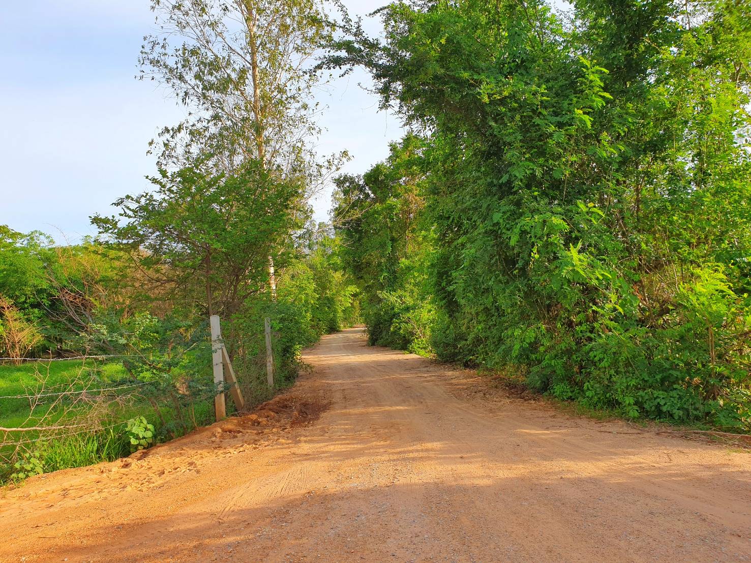 💰ขายแล้ว💰ขายที่ดินทำสวนเกษตร ที่สวย ติดถนน ติดคลอง อ.อู่ทอง จ.สุพรรณบุรี เนื้อที่ 19-1-87 ไร่ ไร่ละ 140,000 บ.