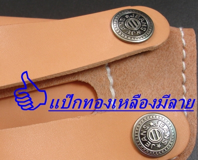 แป๊กทองเหลืองมีลาย