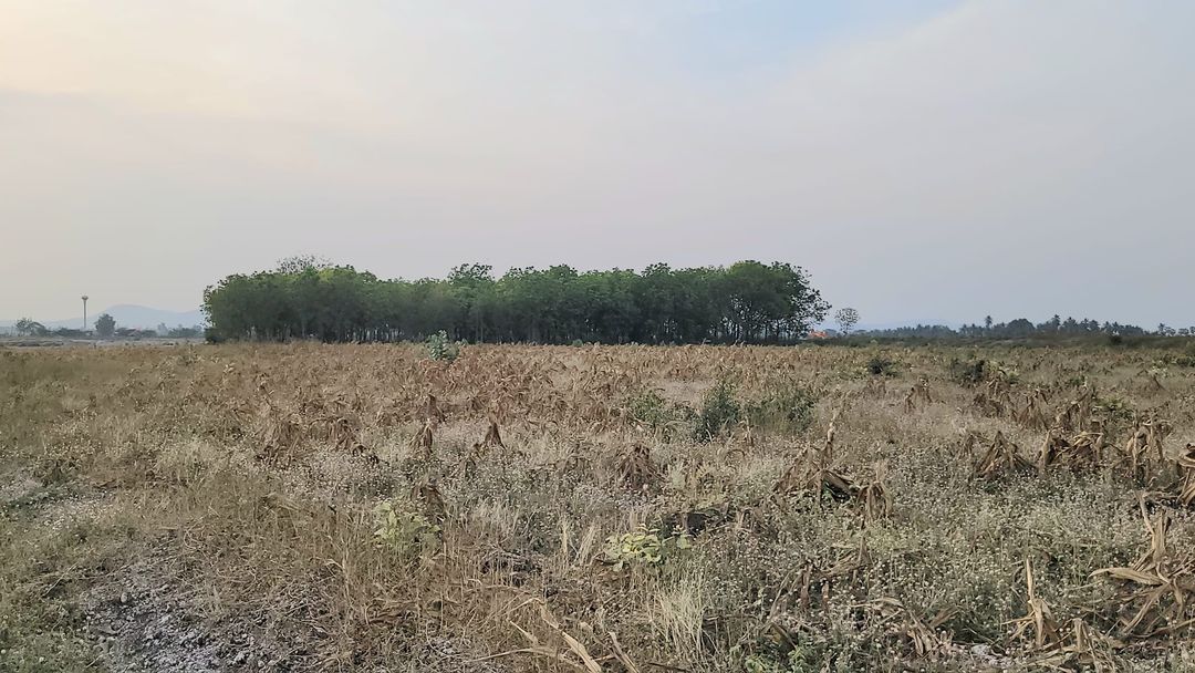 ปิดการขาย ขายที่ดินแปลงสวย วิวภูเขา อ.อู่ทอง จ.สุพรรณบุรี ใกล้ตลาดสีเขียว สวนสวรรค์สุพรรณบุรี เนื้อที่: 19 ไร่ 2 งาน 73 ตารางวา • ราคา: 3,340,000 บาท บรรยากาศดี