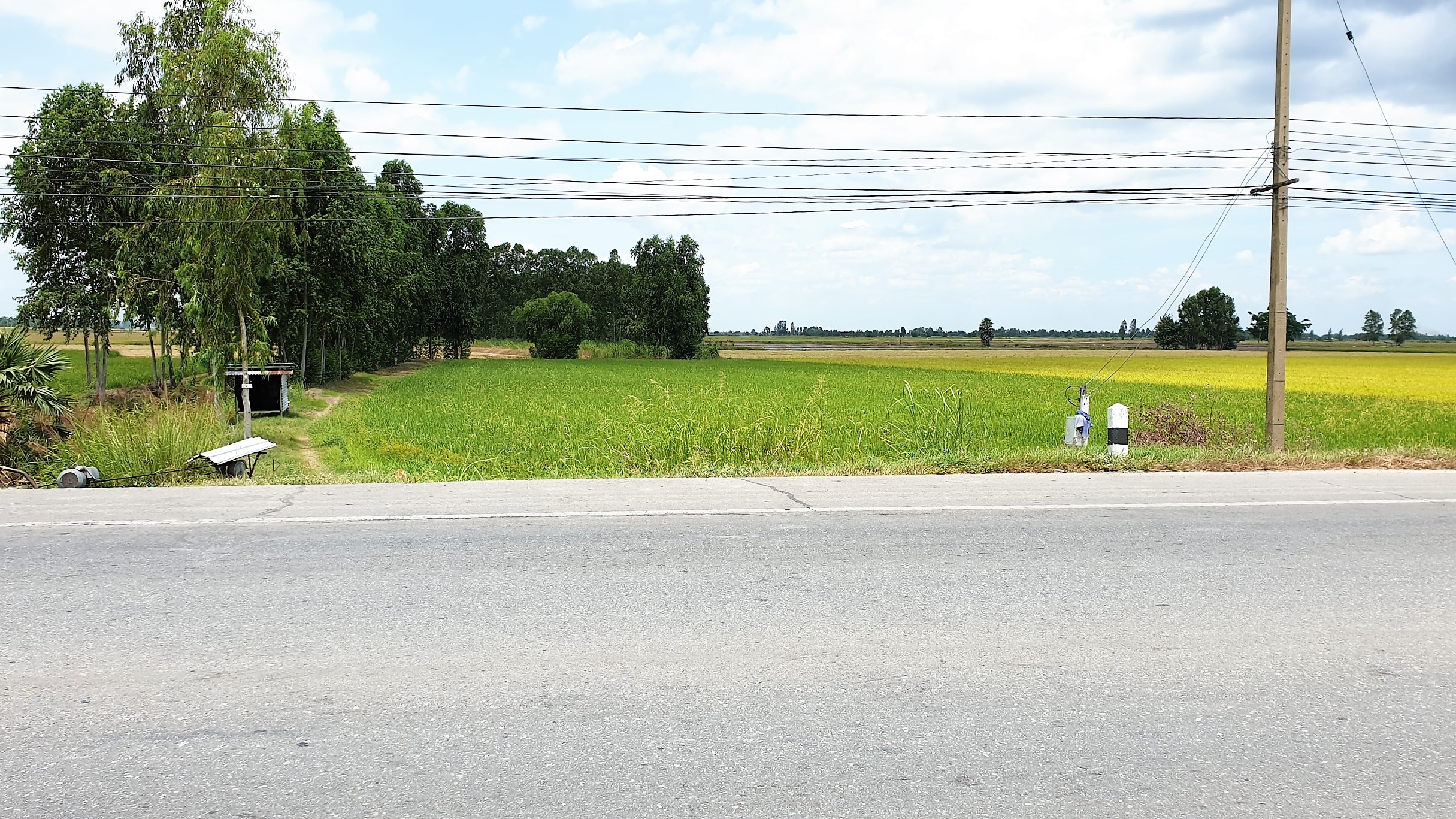 💰ขายแล้ว💰ที่ดินแปลงสวย เนื้อที่ 2-1-55 ไร่ ติดถนนทางหลวง 333 อ.อู่ทอง จ.สุพรรณบุรี น้ำท่าอุดมสมบูรณ์ ไฟฟ้า 3 เฟส