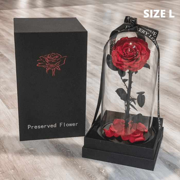 กุหลาบสดในโหลแก้ว Size L (18x32cm) พร้อมกล่องสุด Premium