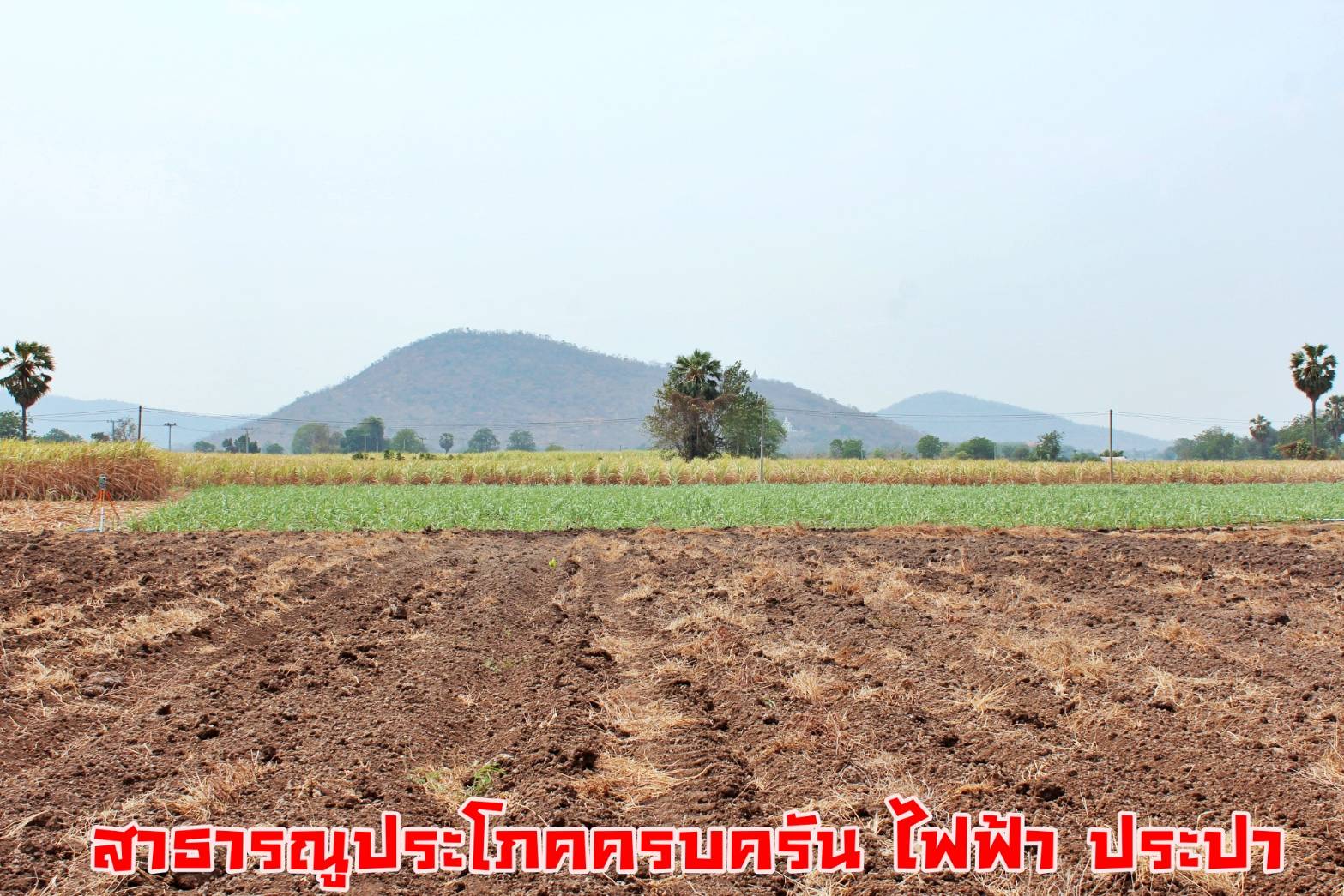 💰ขายแล้ว💰ขายที่ดินแปลงสวย วิวภูเขา เมืองทราวดี อ.อู่ทอง จ.สุพรรณบุรี เนื้อที่ 9ไร่ ไร่ละ 320,000 บ. {ขายยกแปลง}ที่สวย บรรยากาศดี วิวทิวทัศน์สวยงาม ⚜ติดถนนทางสาธารณะ กว้าง 7 เมตร สาธารณูปโภคครบครัน อยู่ใกล้แหล่งชุมชน