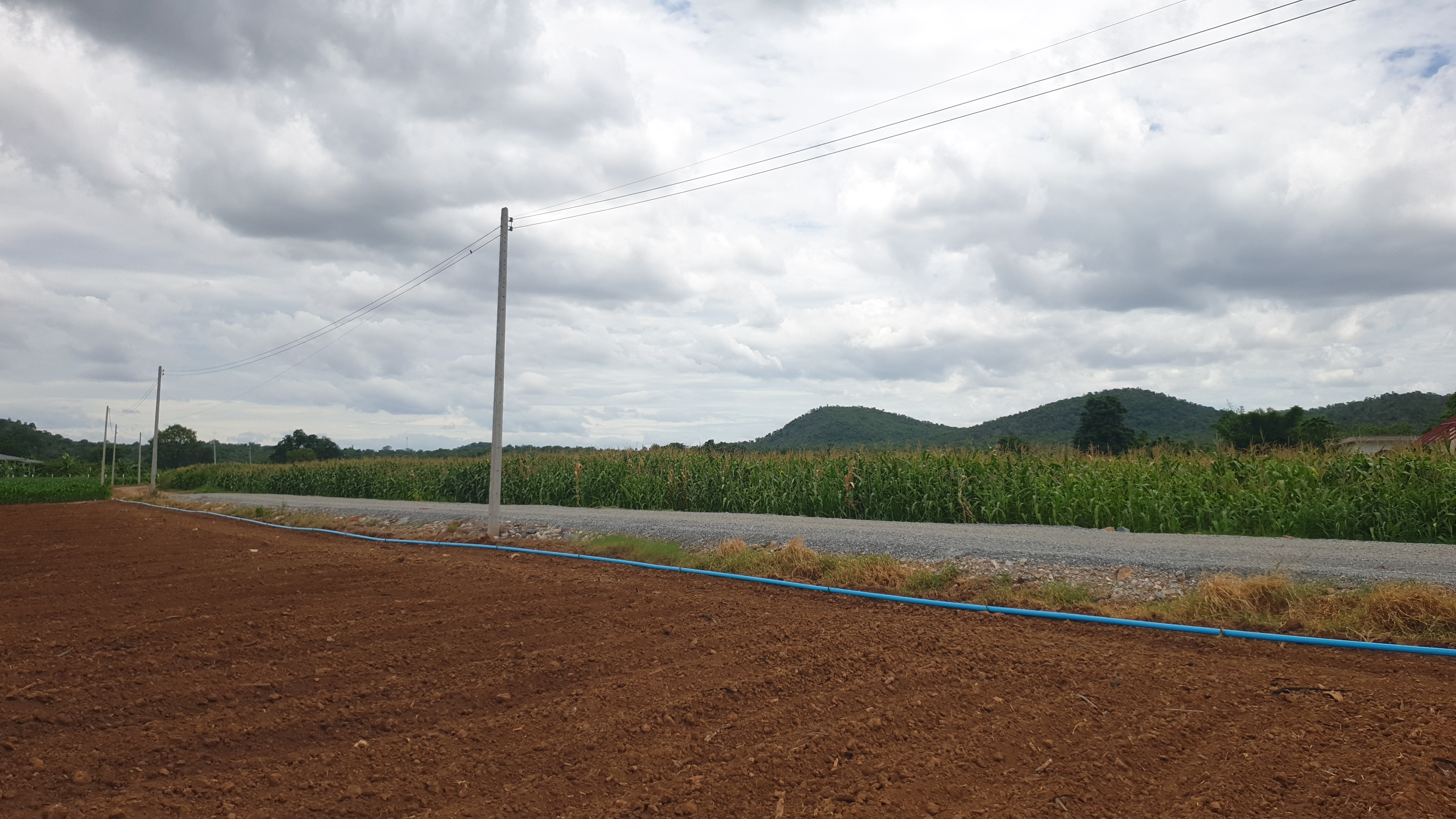 ขายที่ดินสวย 12 ไร่ 2 งาน 53.5 ตร.ว. หน้ากว้างติดถนนสาธารณะ 193 ม. วิวภูเขา 180° อากาศดี เงียบสงบ เหมาะทำบ้านพัก รีสอร์ต หรือเกษตรครบวงจร โอบล้อมด้วยทิวเขา 180° วิวอลังการเต็มตา บรรยากาศธรรมชาติสุดฟิน