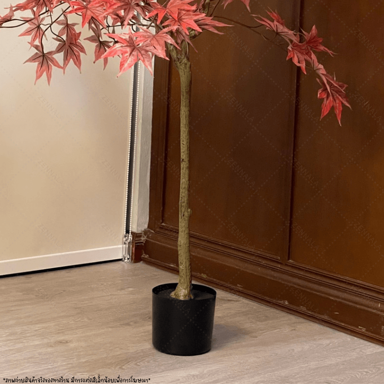 ต้นเมเปิ้ลปลอม red maple พร้อมกระถางดำ🌲150cm.