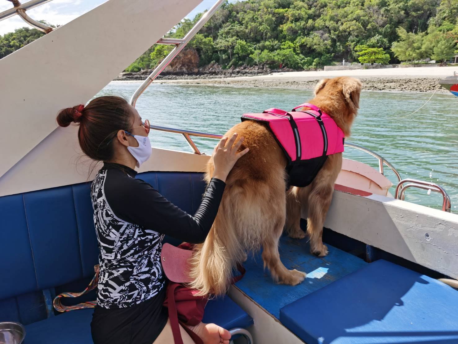 เสื้อชูชีพสุนัข Dogtalog เบอร์ XXL