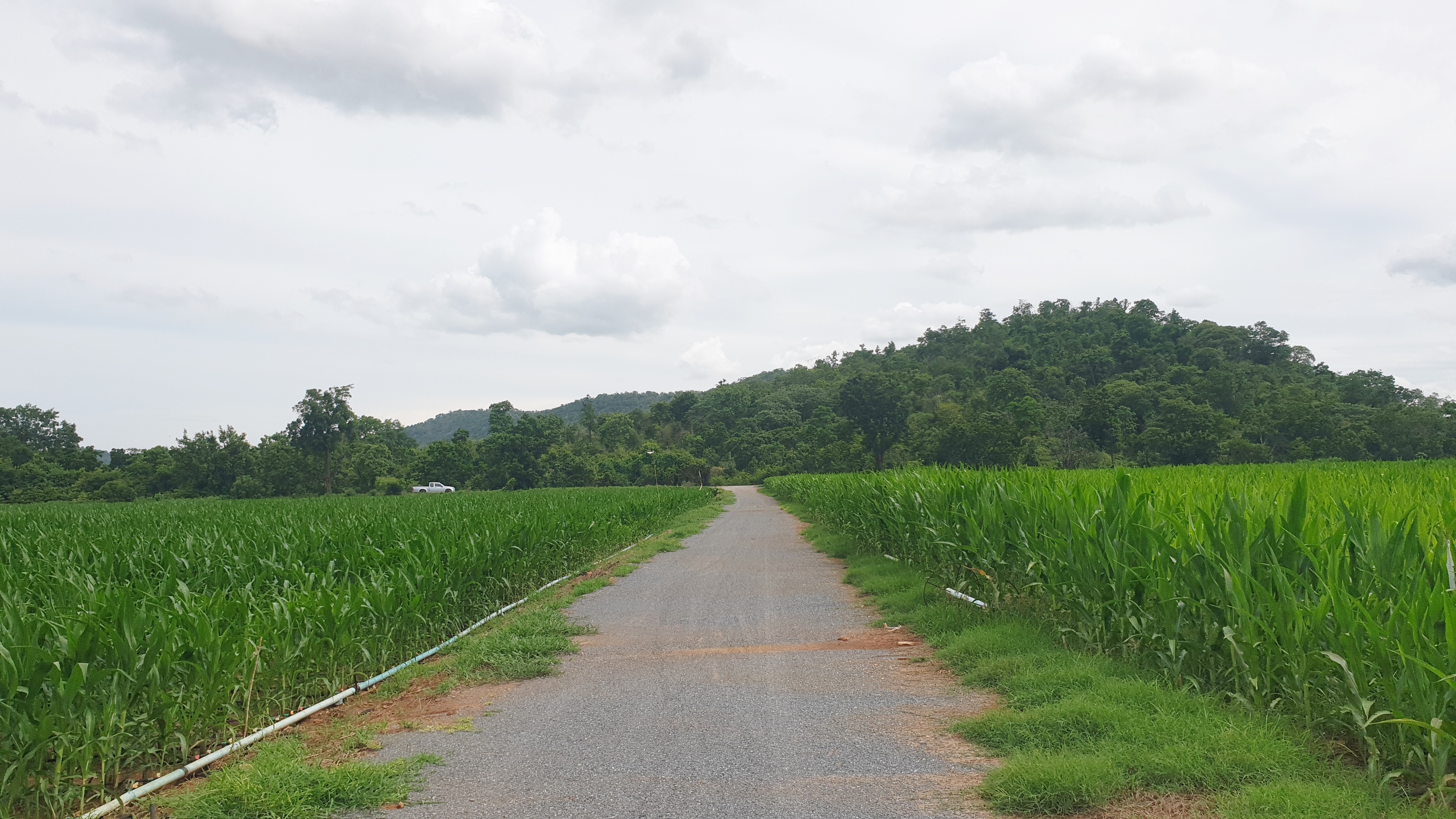 ขายที่ดินวิวภูเขา ชัดรอบทิศ วิวร้อยล้าน ขายราคาหลักแสน ต.พลับพลาไชย อ.อู่ทอง จ.สุพรรณบุรี เนื้อที่ 11 ไร่ 2 งาน 28 ตรว ไร่ละ 480,000 บ. ทางสาธารณะกว้าง 6 เมตร วิวเขา 180 องศา จากถนนทางหลวงชนบทลาดยางเข้ามาประมาณ 80 เมตร ดินดี ที่สวย บรรยากาศดี วิวภูเขารอบท