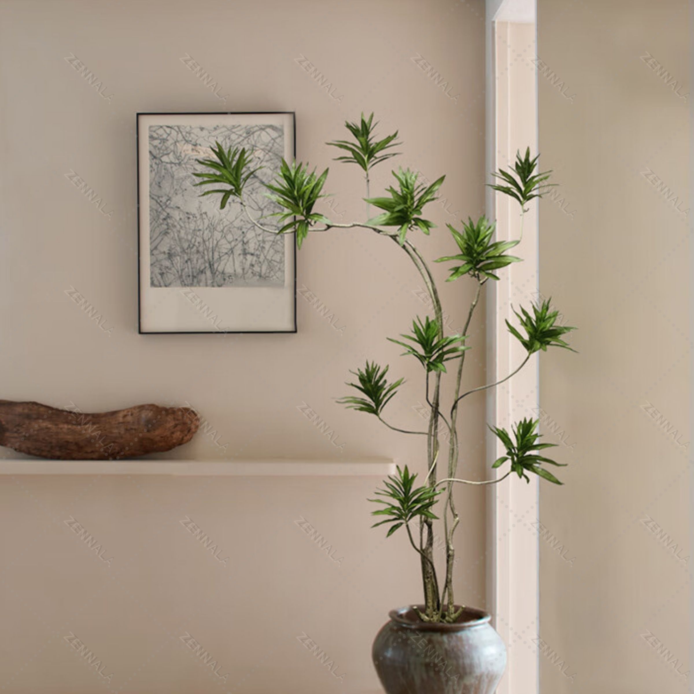 ต้น Llly Bamboo 140cm. / 160cm.